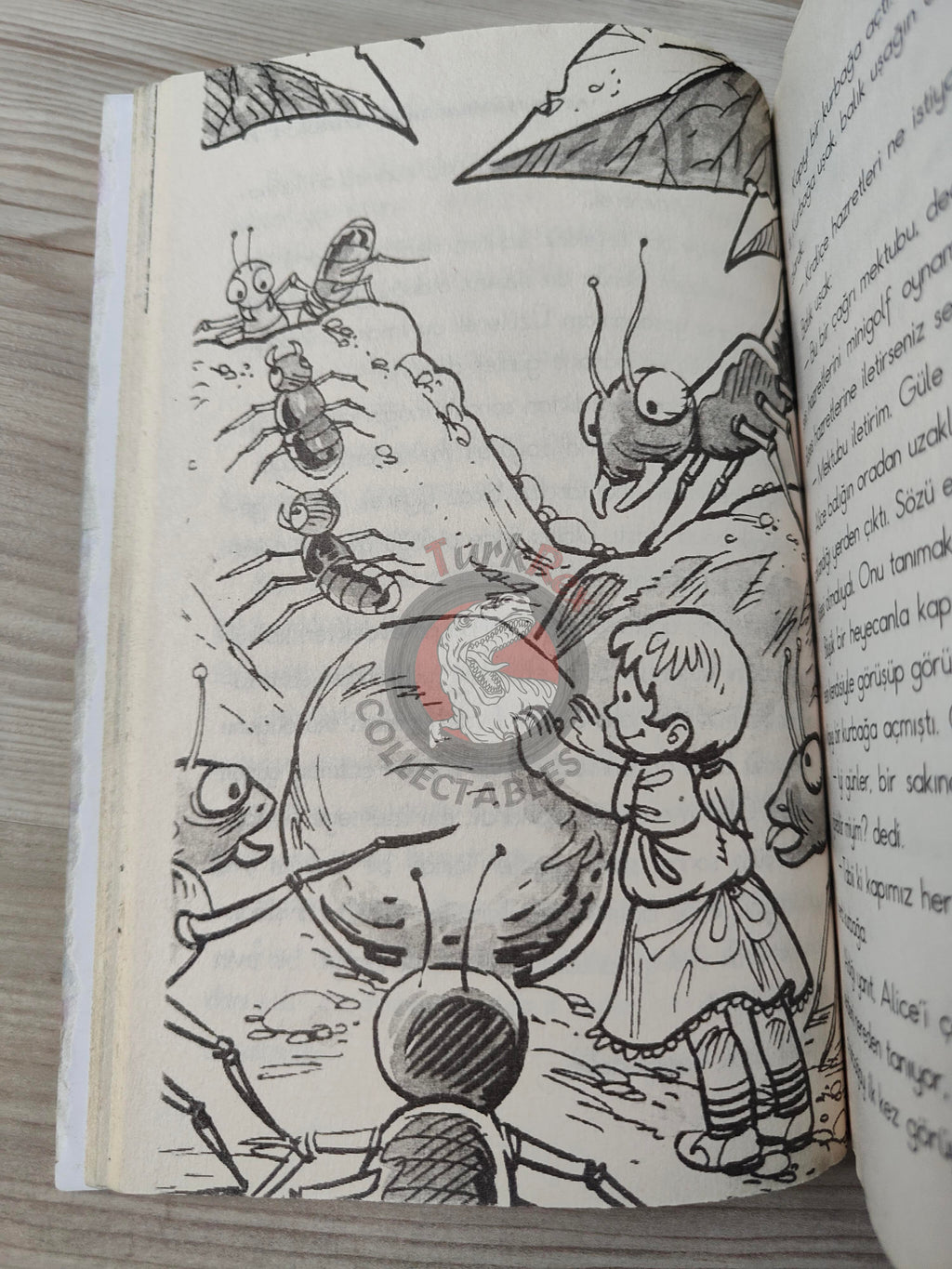 Lewis Carroll – Alice in Wonderland 2010 Turkish Book Turkey Illustrated 1