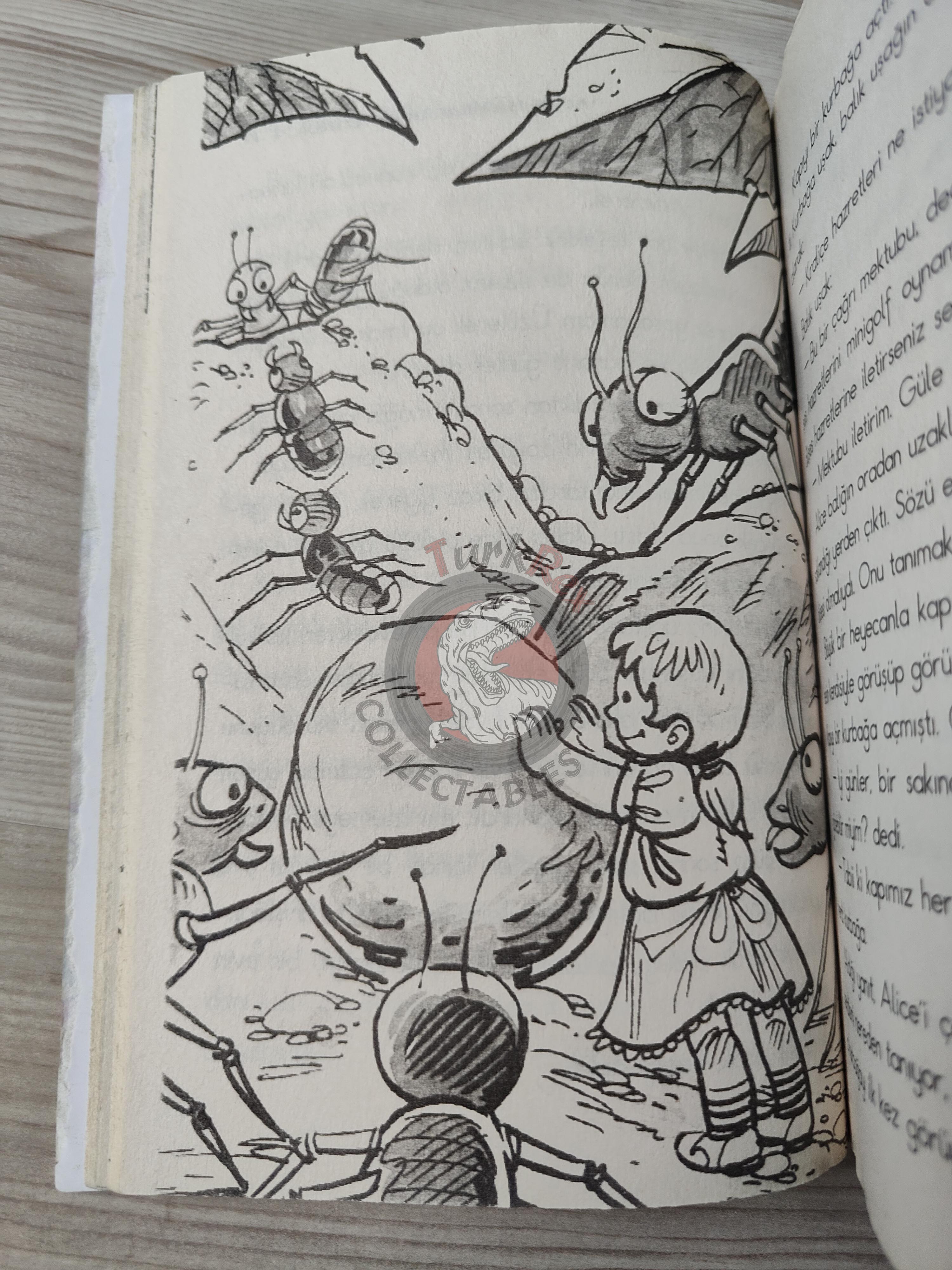 Lewis Carroll – Alice in Wonderland 2010 Turkish Book Turkey Illustrated 1