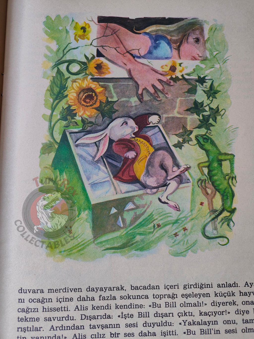Lewis Carroll – Alice in Wonderland 1988 Turkish Book Turkey Illustrated Alice Huertas