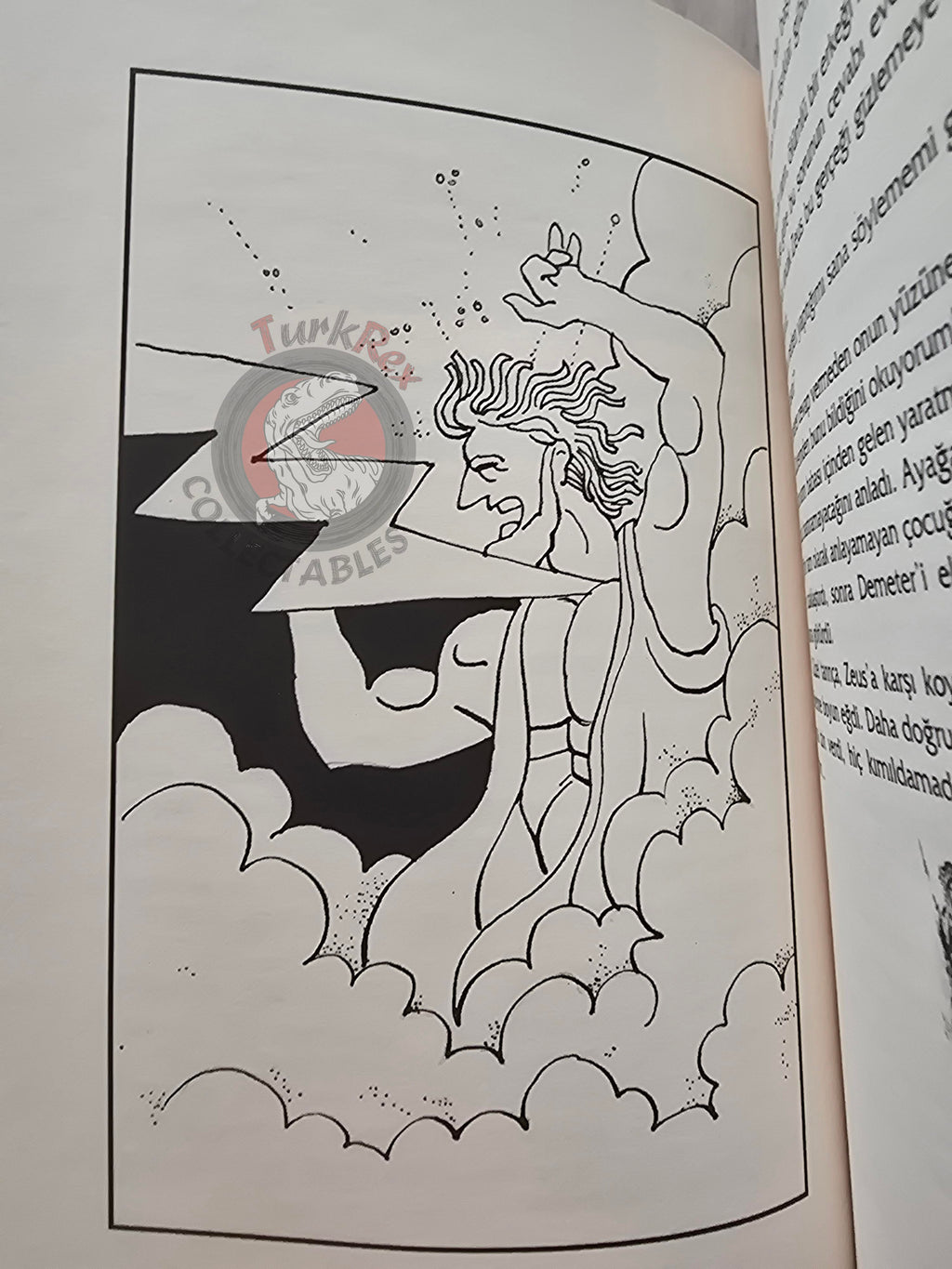 Demeter – Robert Krugmann 2003 Turkish Book Turkey Illustrated by Turkish Artist