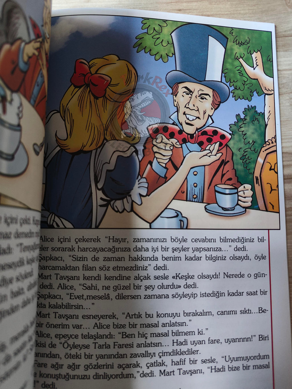 Lewis Carroll – Alice in Wonderland 2011 Turkish Book Turkey Illustrated 1