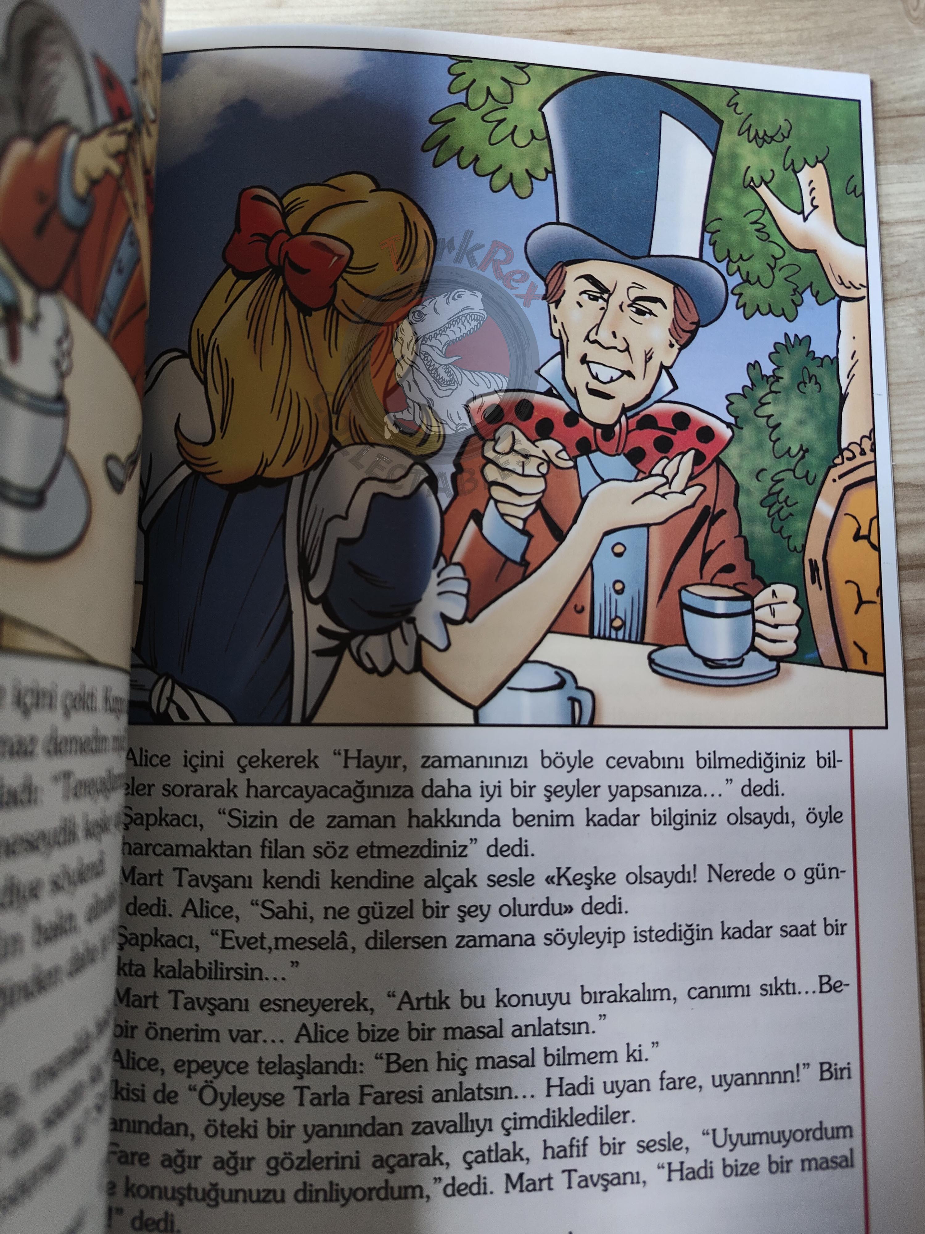 Lewis Carroll – Alice in Wonderland 2011 Turkish Book Turkey Illustrated 1