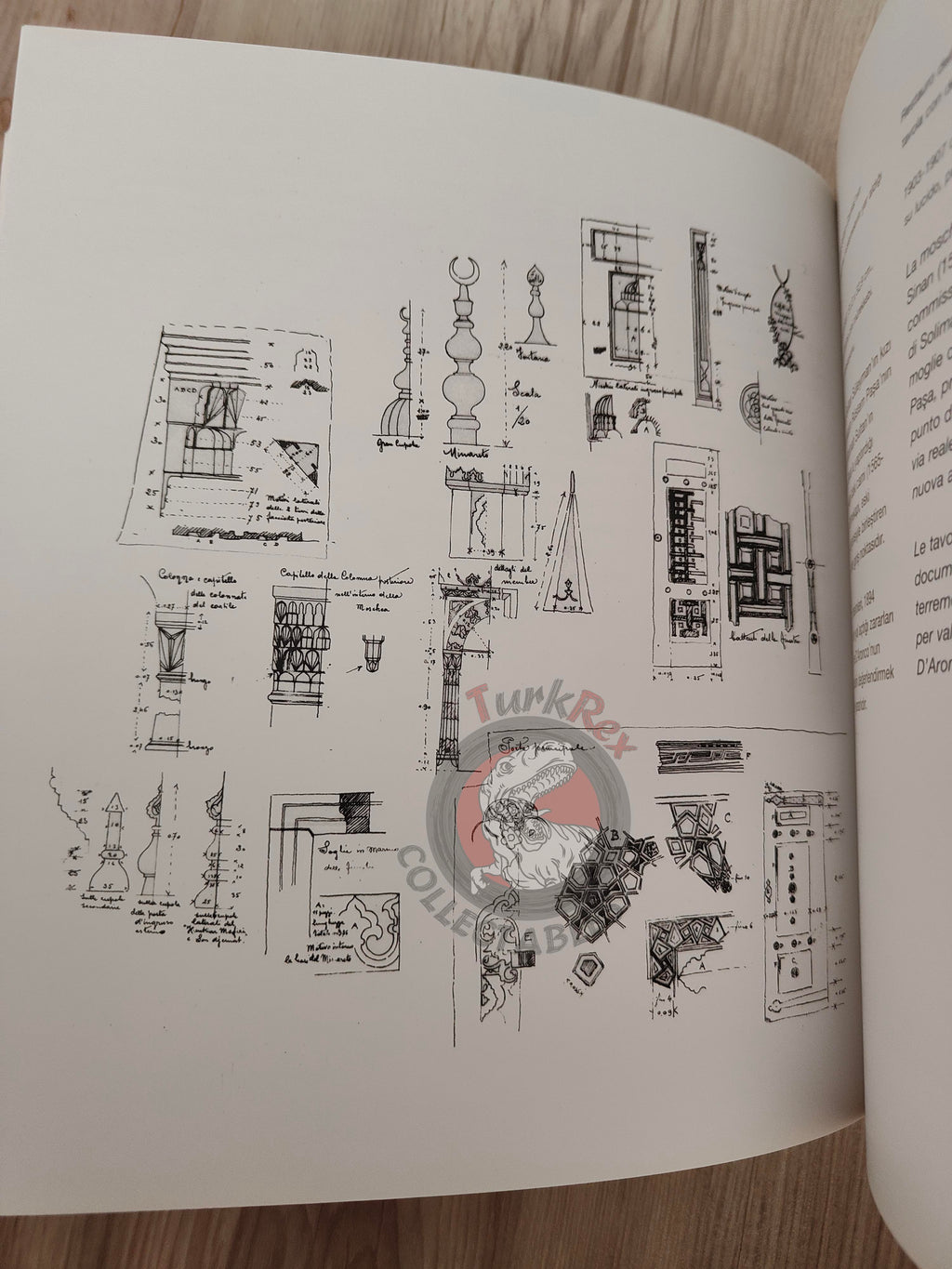 Ottoman Architect D'Aronco: Istanbul Projects 1893–1909 Turkish English Book