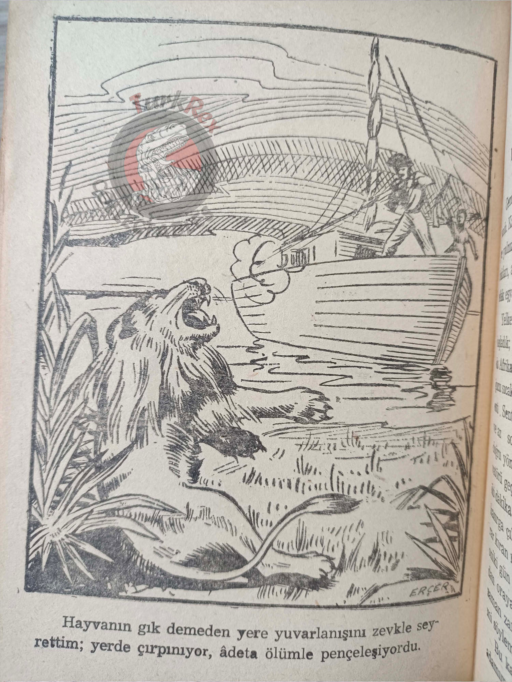 Daniel Defoe – Robinson Crusoe 1955 Turkish Book Turkey Illustrated