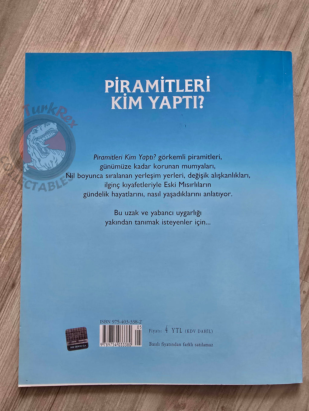 Jane Chisholm – Who Built The Pyramids? 2006 Turkish Book Turkey