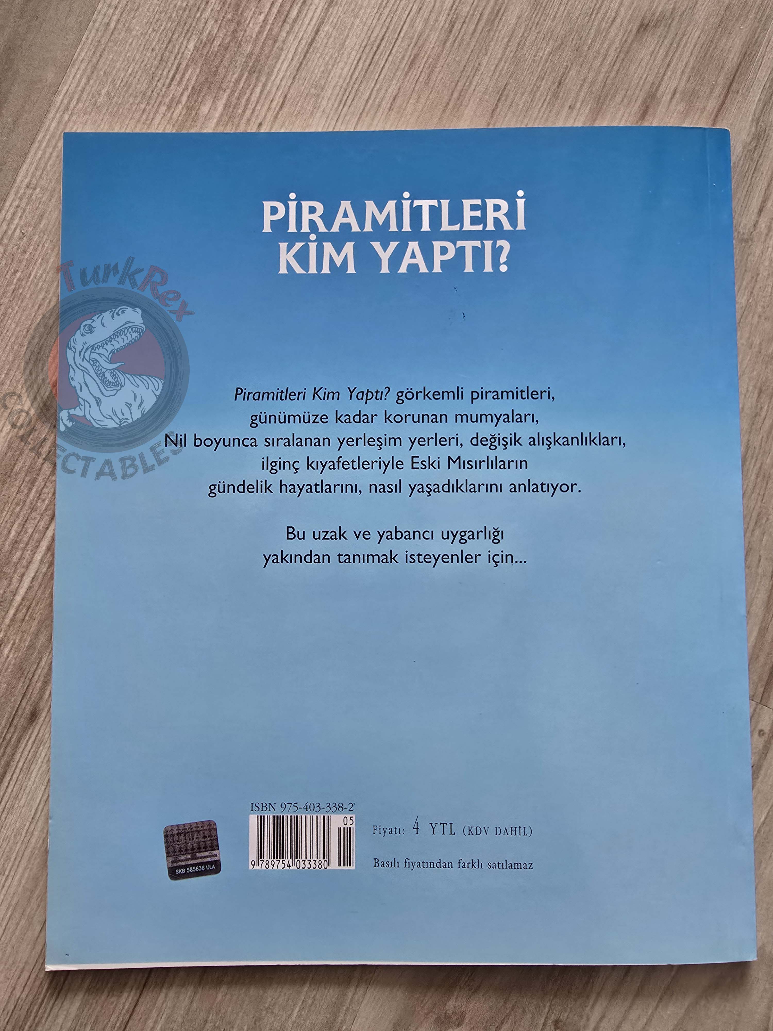 Jane Chisholm – Who Built The Pyramids? 2006 Turkish Book Turkey