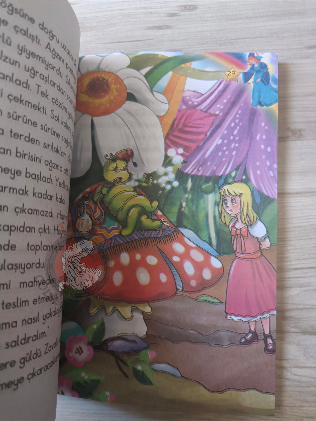 Lewis Carroll – Alice in Wonderland 2010 Turkish Book Turkey Illustrated 2