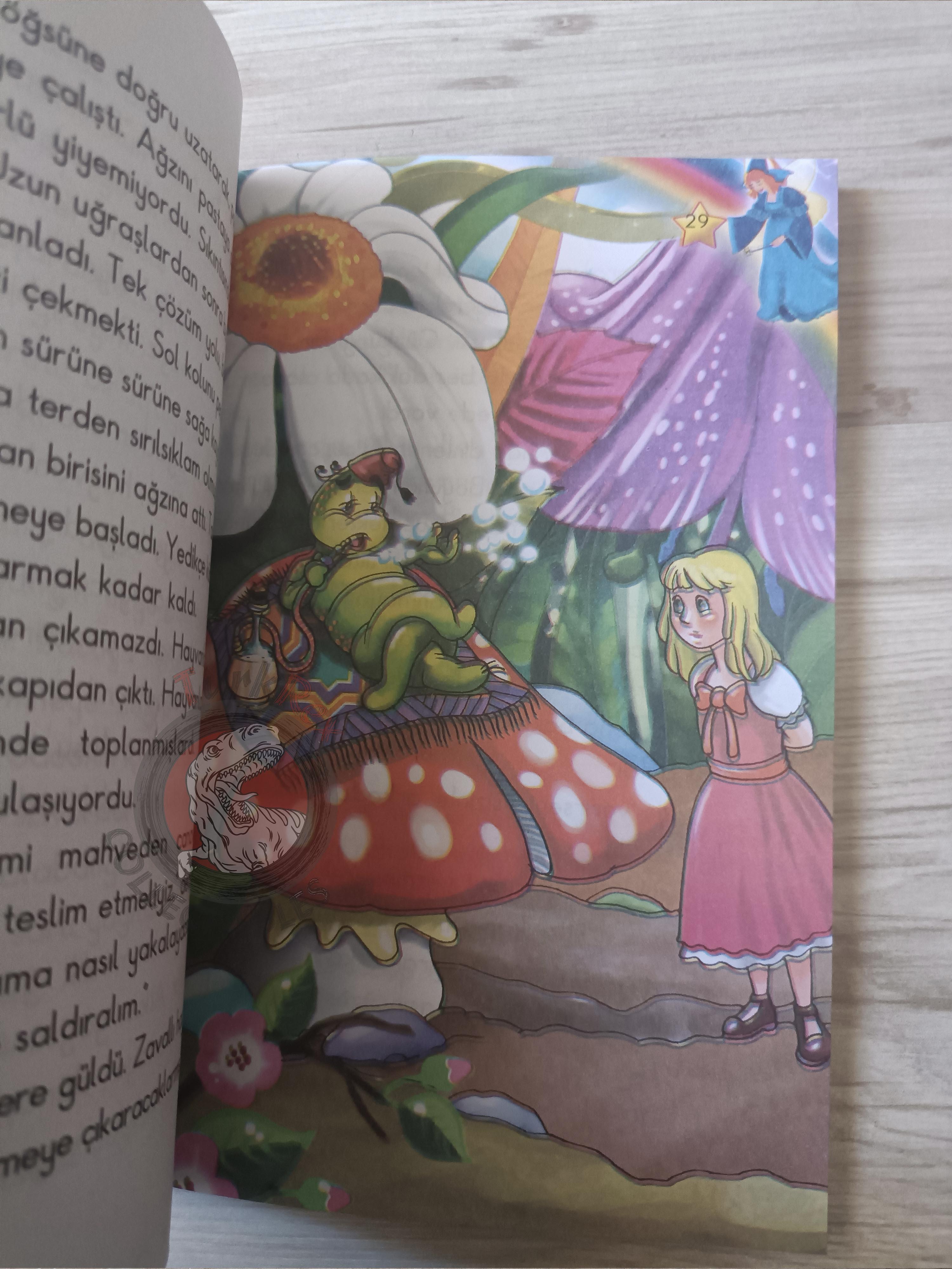 Lewis Carroll – Alice in Wonderland 2010 Turkish Book Turkey Illustrated 2