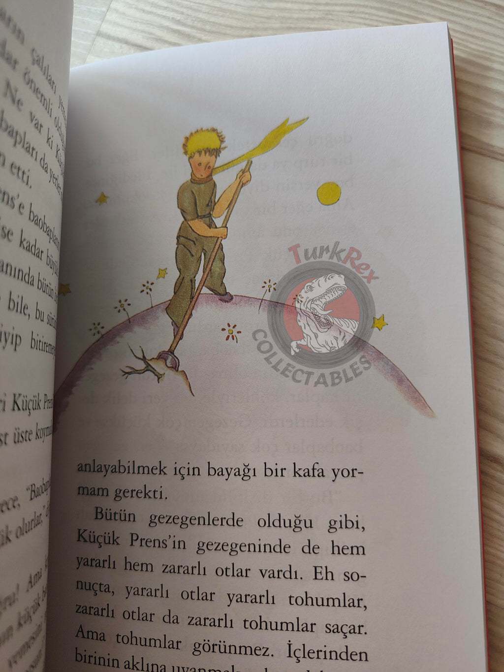 Antoine de Saint-Exupéry – Le Petit Prince 2015 Turkish Book Turkey Illustrated Little 2