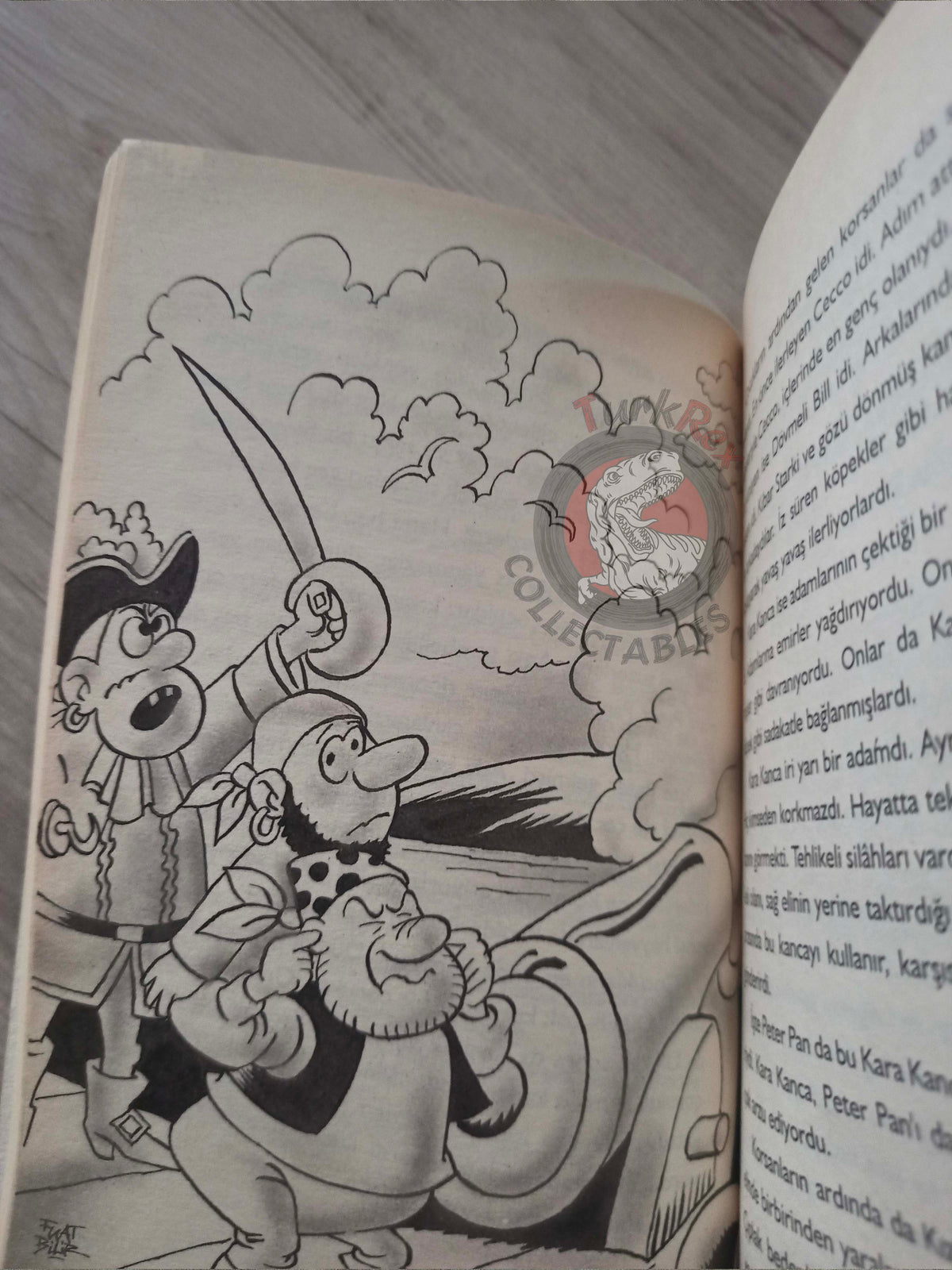 J. M. Barrie – Peter Pan 2005 Turkish Book Turkey Illustrated 1