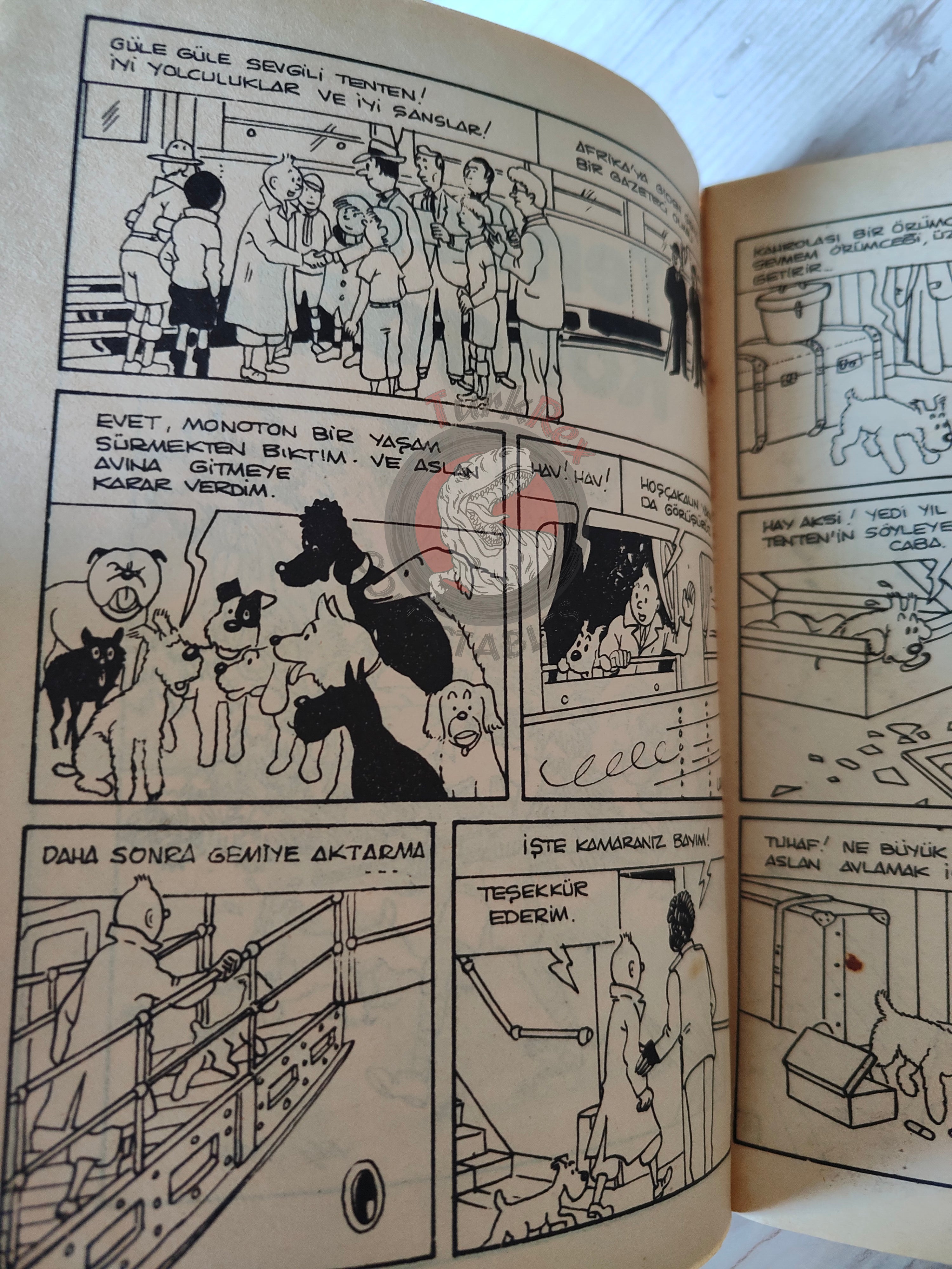 Tintin – Tintin in the Congo mid 1980s Turkish Edition Comic Turkey 1