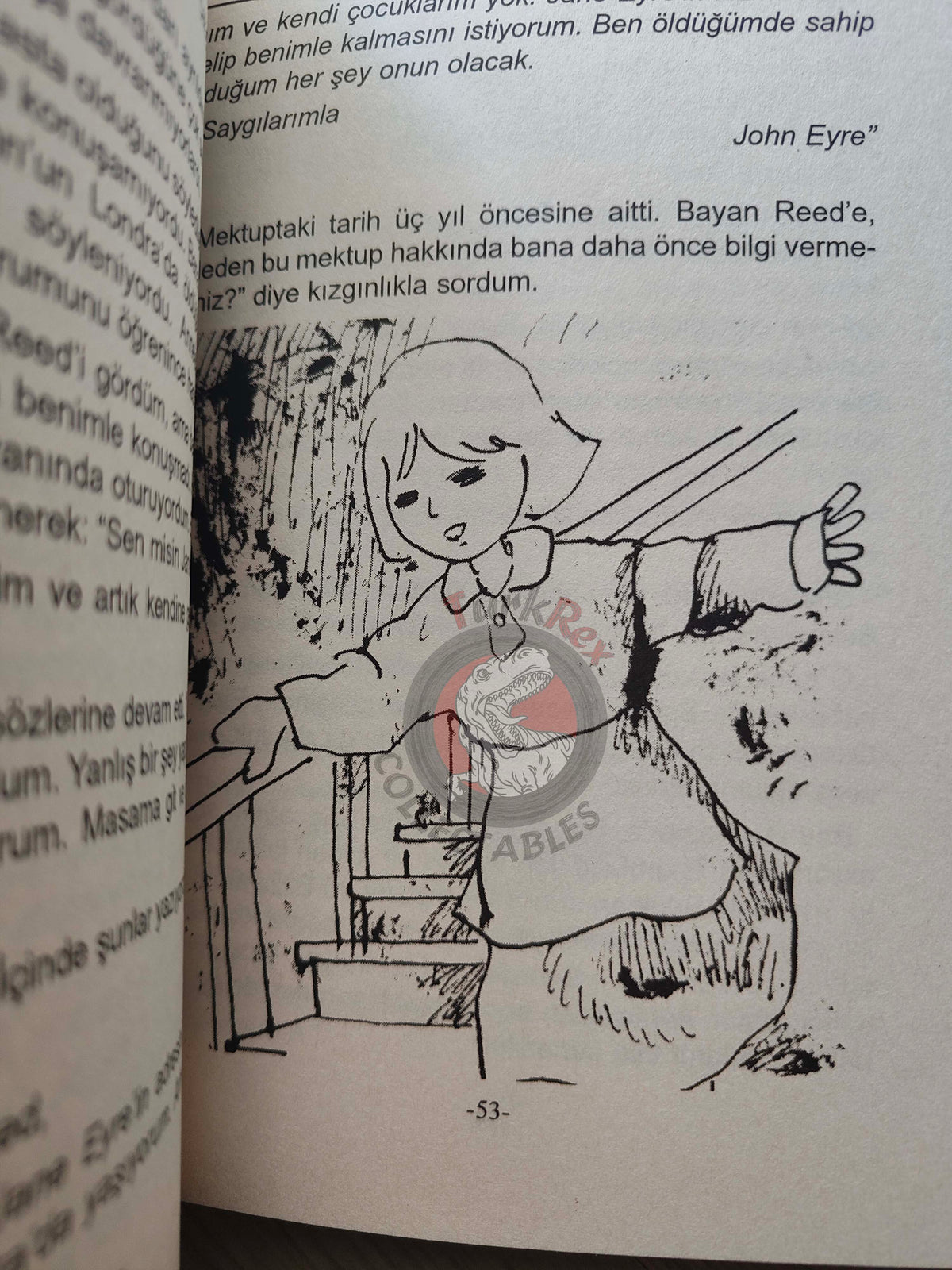 Charlotte Brontë – Jane Eyre 2011 Turkish Book Turkey Illustrated