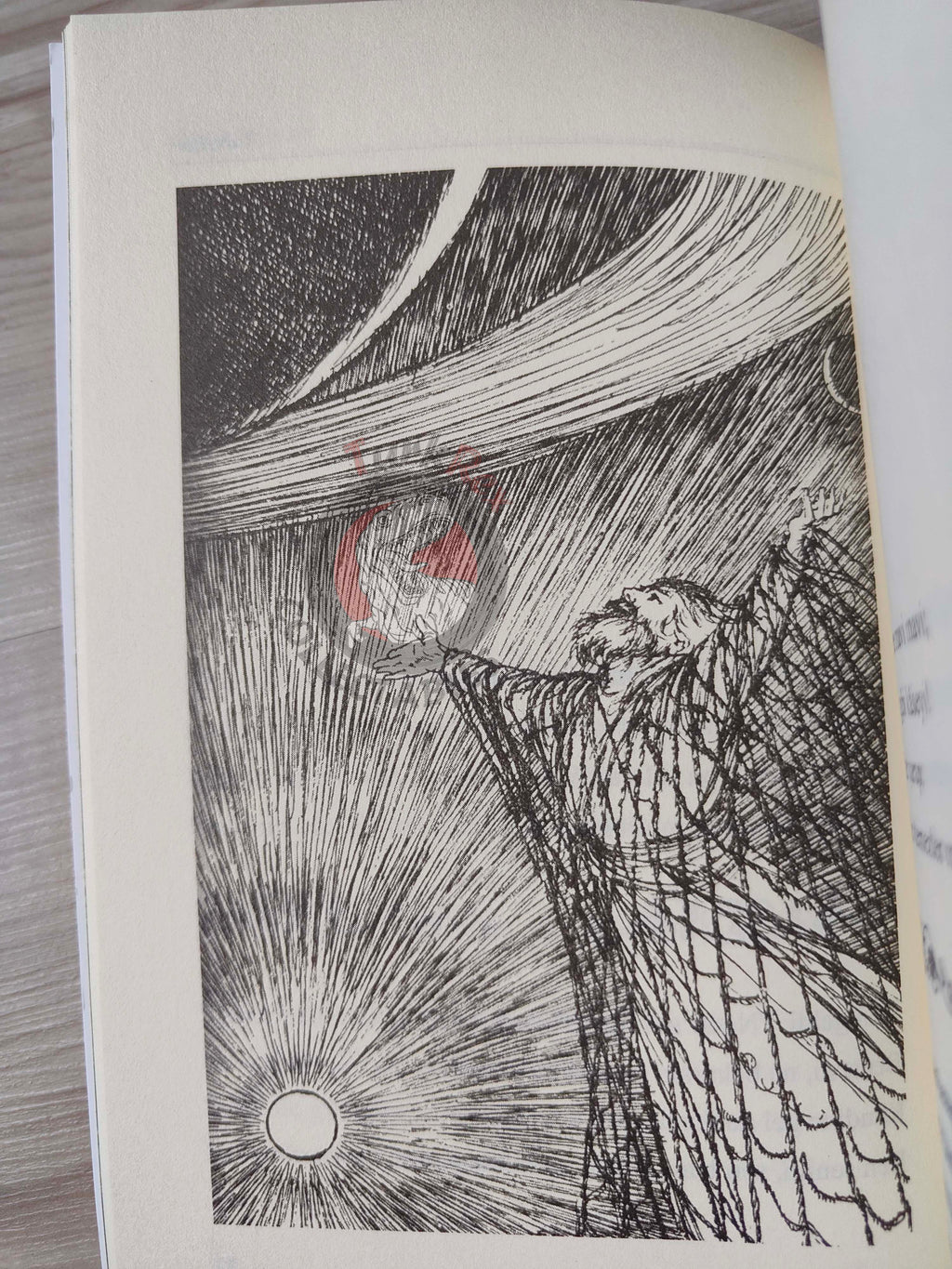 Rubaiyat of Omar Khayyam 2013 Illustrated Turkish Book Turkey Panama