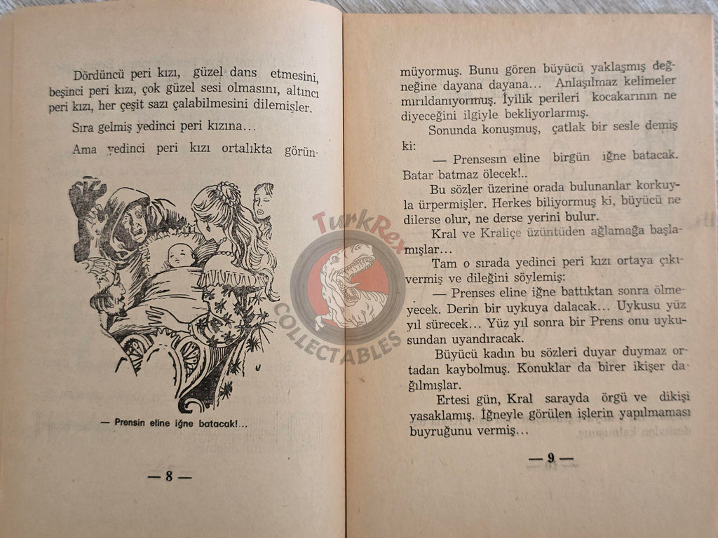 Grimm Brothers –  Sleeping Beauty 1975 Turkish Book Turkey Illustrated