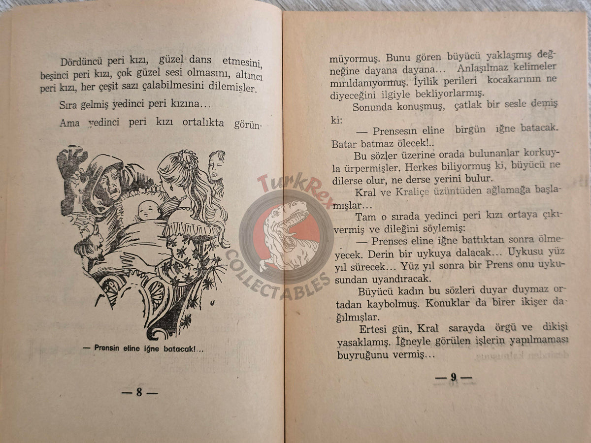 Grimm Brothers –  Sleeping Beauty 1975 Turkish Book Turkey Illustrated