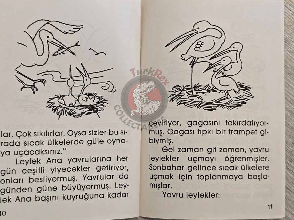 Hans Christian Andersen –  The Storks  1994 Turkish Book Turkey Illustrated