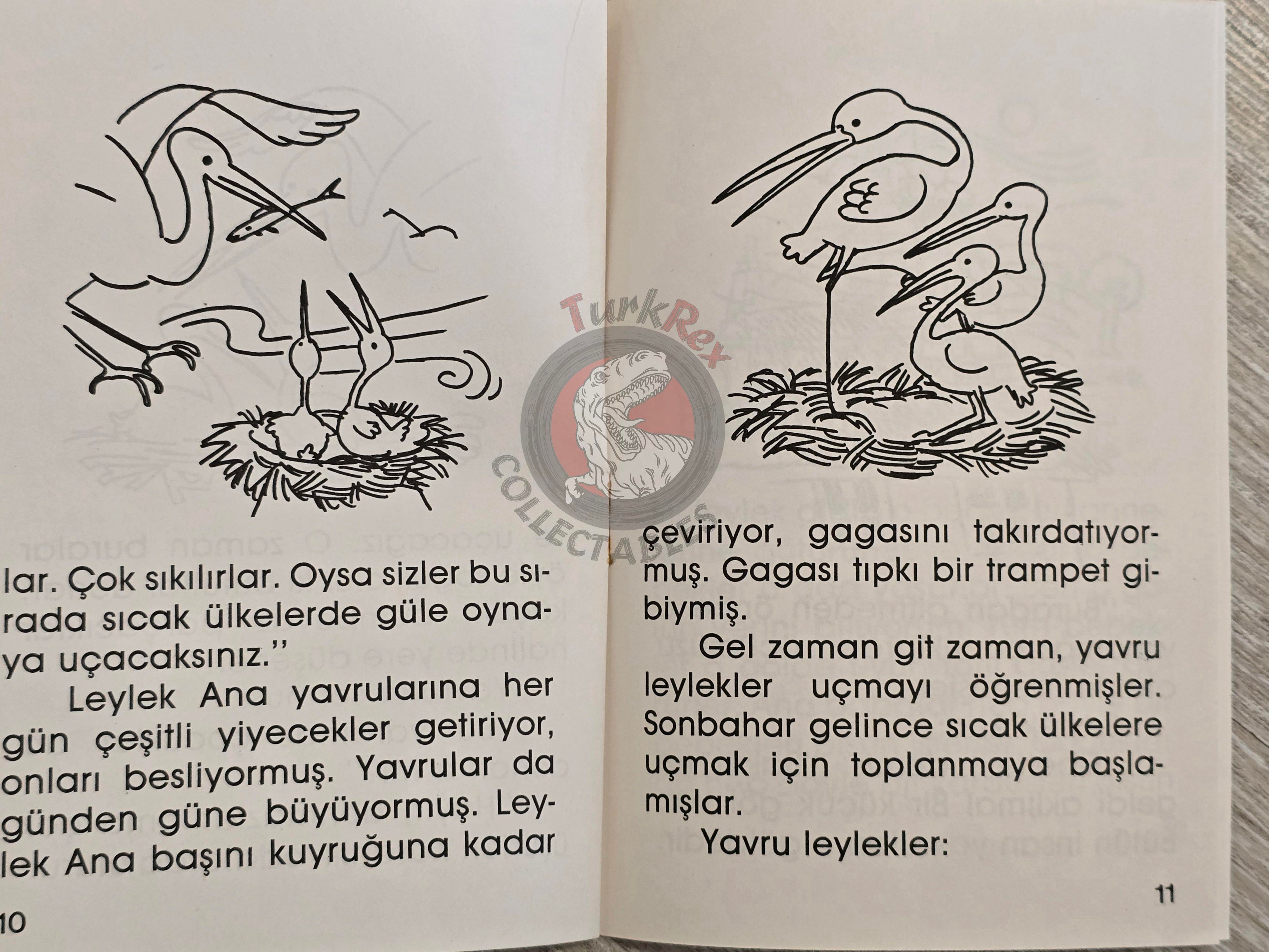 Hans Christian Andersen –  The Storks  1994 Turkish Book Turkey Illustrated