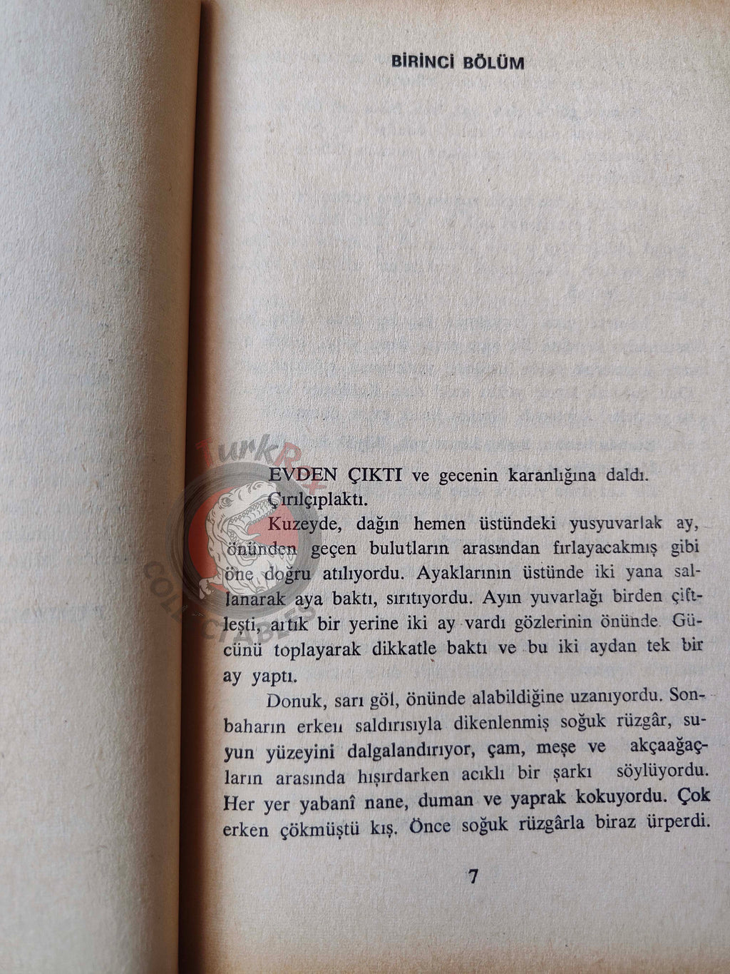 Max Ehrlich – The Reincarnation of Peter Proud 1975 1st Turkish Book Turkey