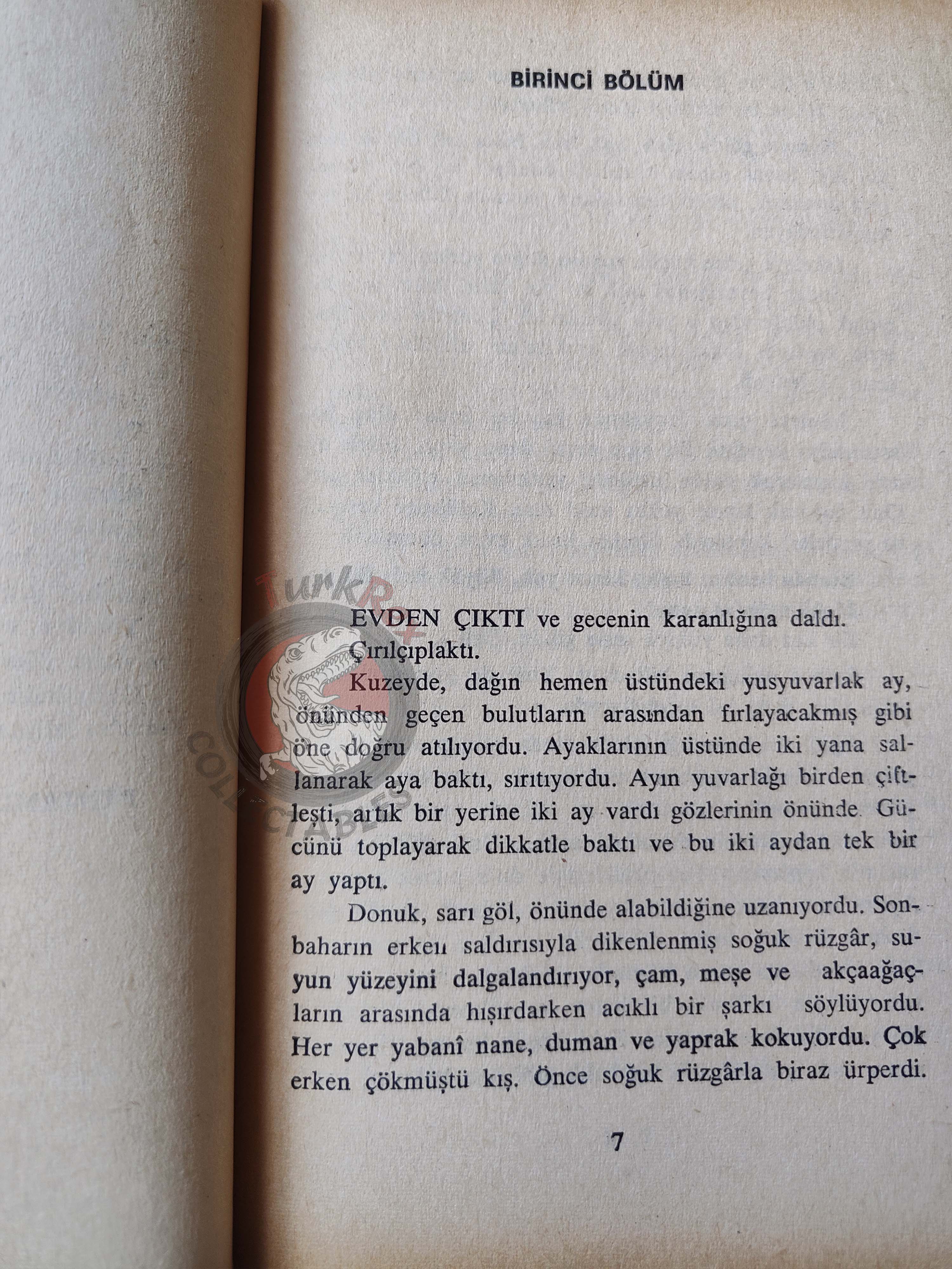 Max Ehrlich – The Reincarnation of Peter Proud 1975 1st Turkish Book Turkey