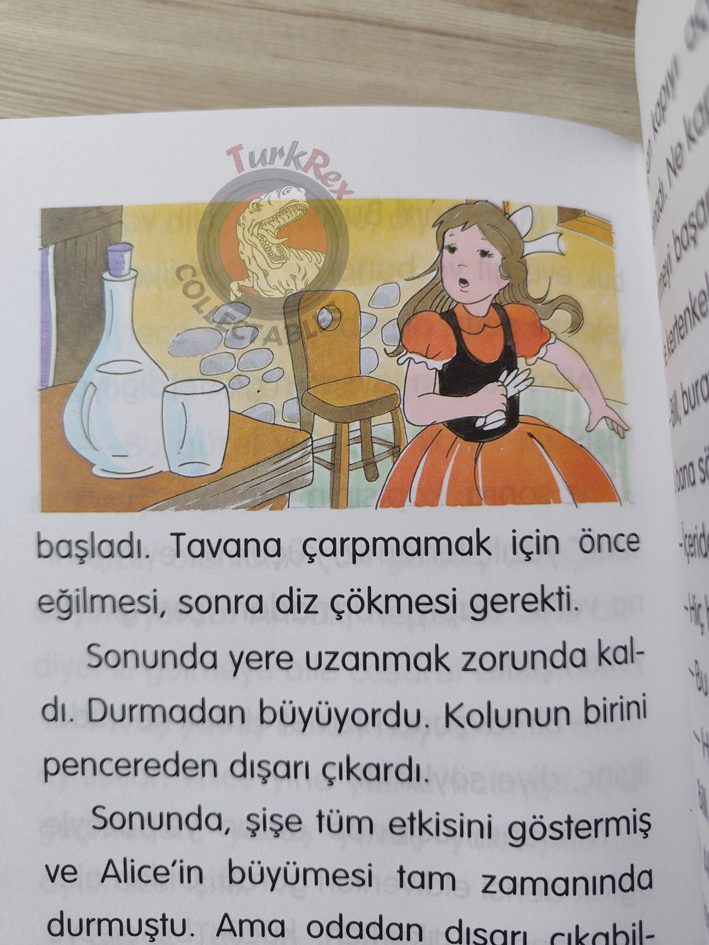 Lewis Carroll – Alice in Wonderland 2001 Turkish Book Turkey Illustrated