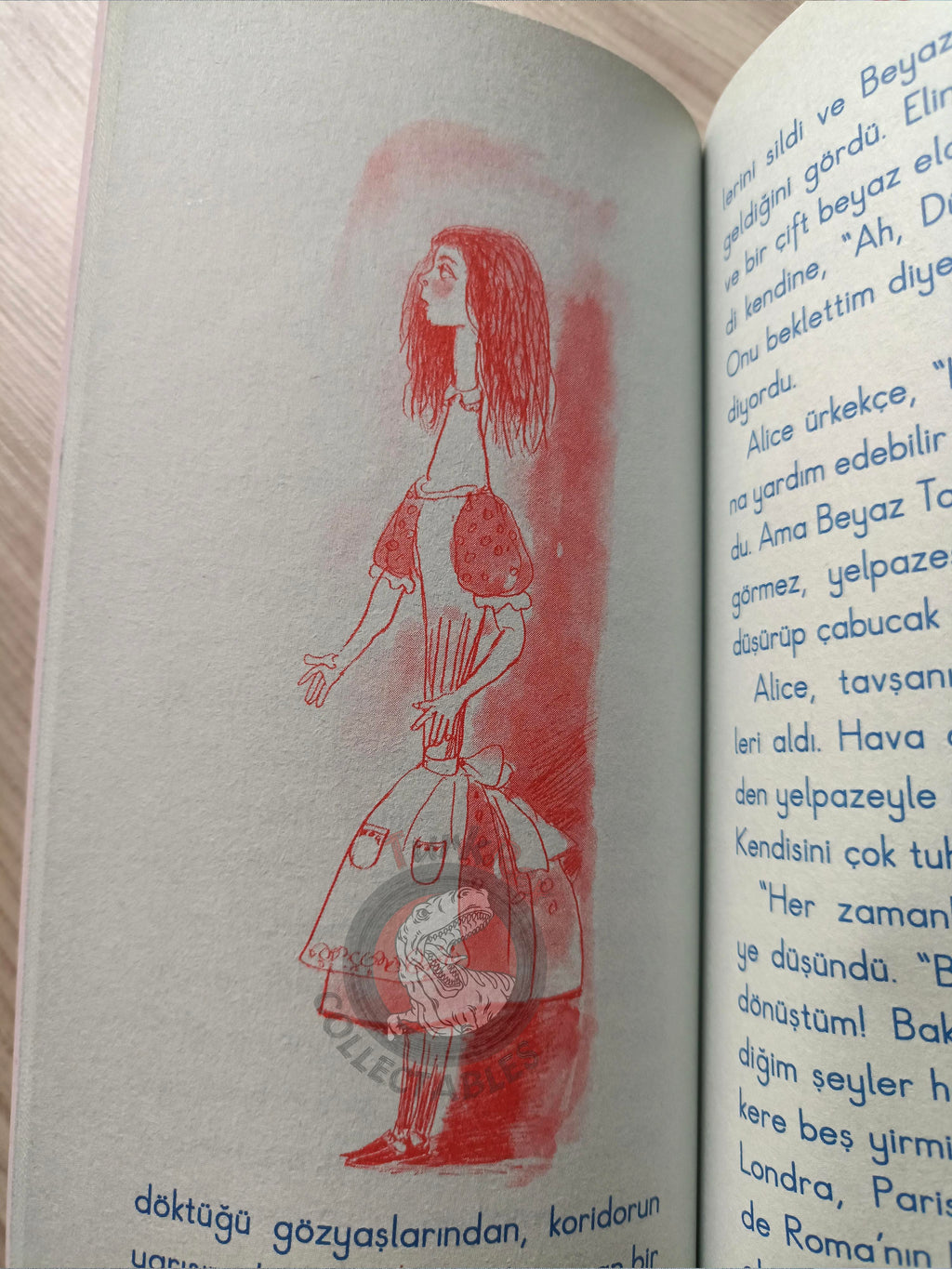 Lewis Carroll – Alice in Wonderland 2010 Turkish Book Turkey Illustrated 3