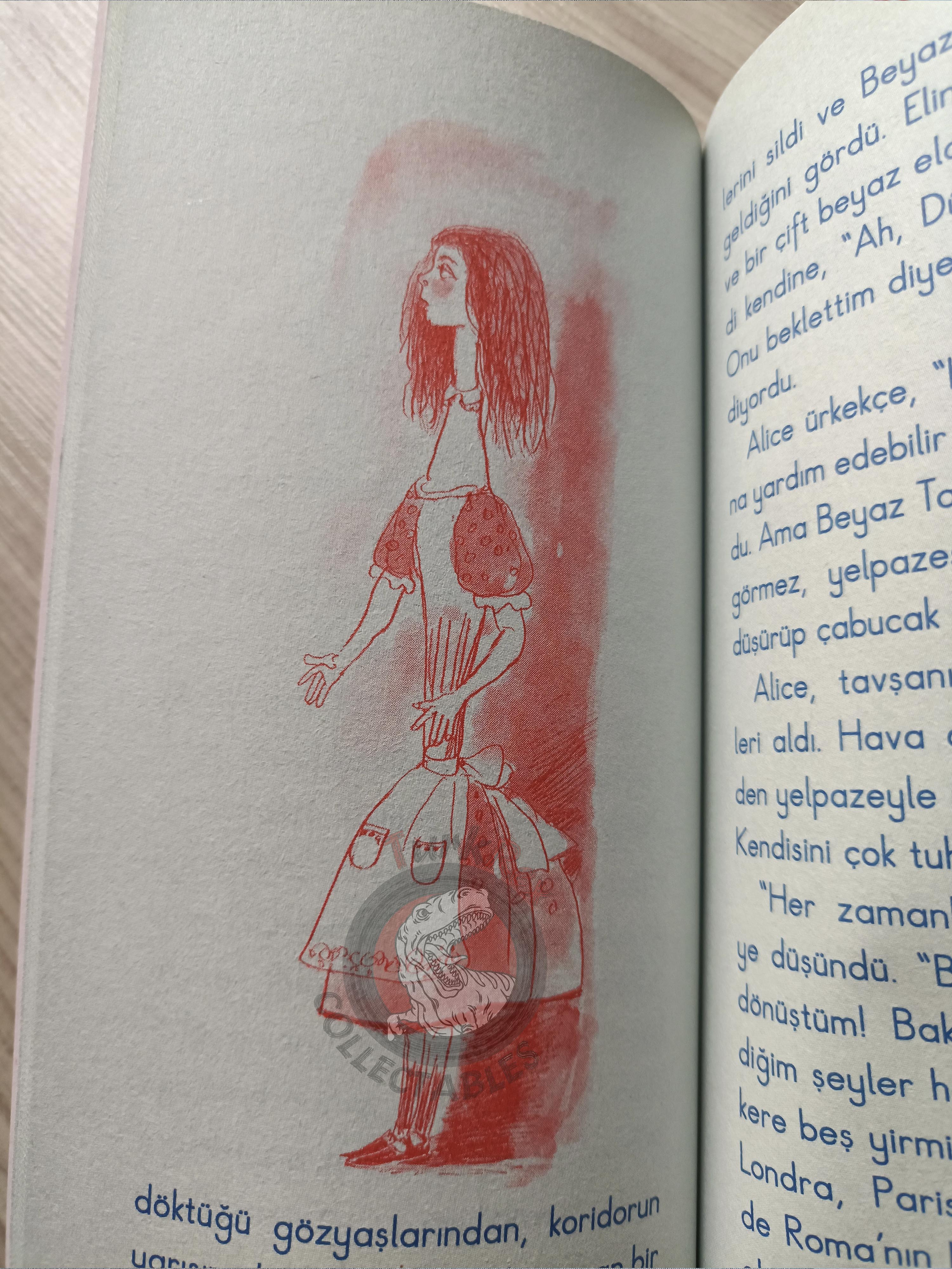 Lewis Carroll – Alice in Wonderland 2010 Turkish Book Turkey Illustrated 3