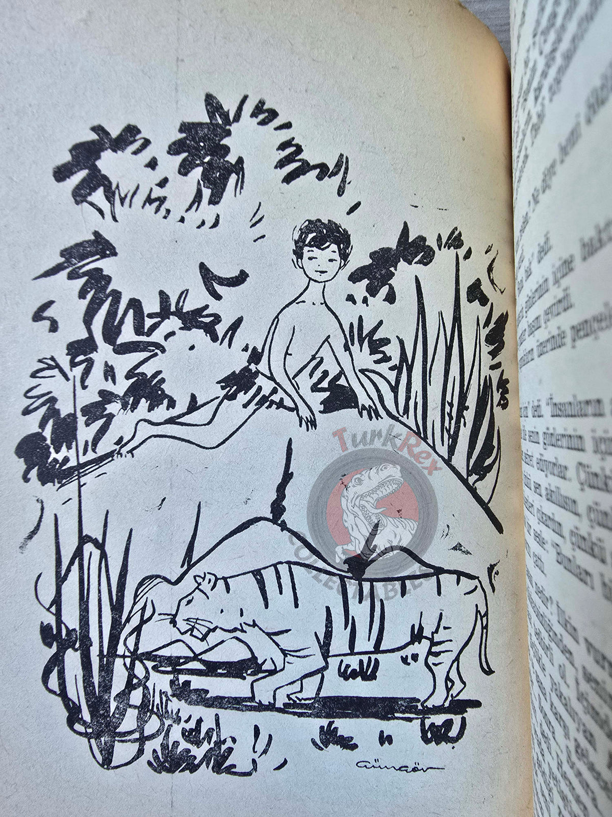 Rudyard Kipling – The Jungle Book 1957 Turkish Book Turkey Illustrated