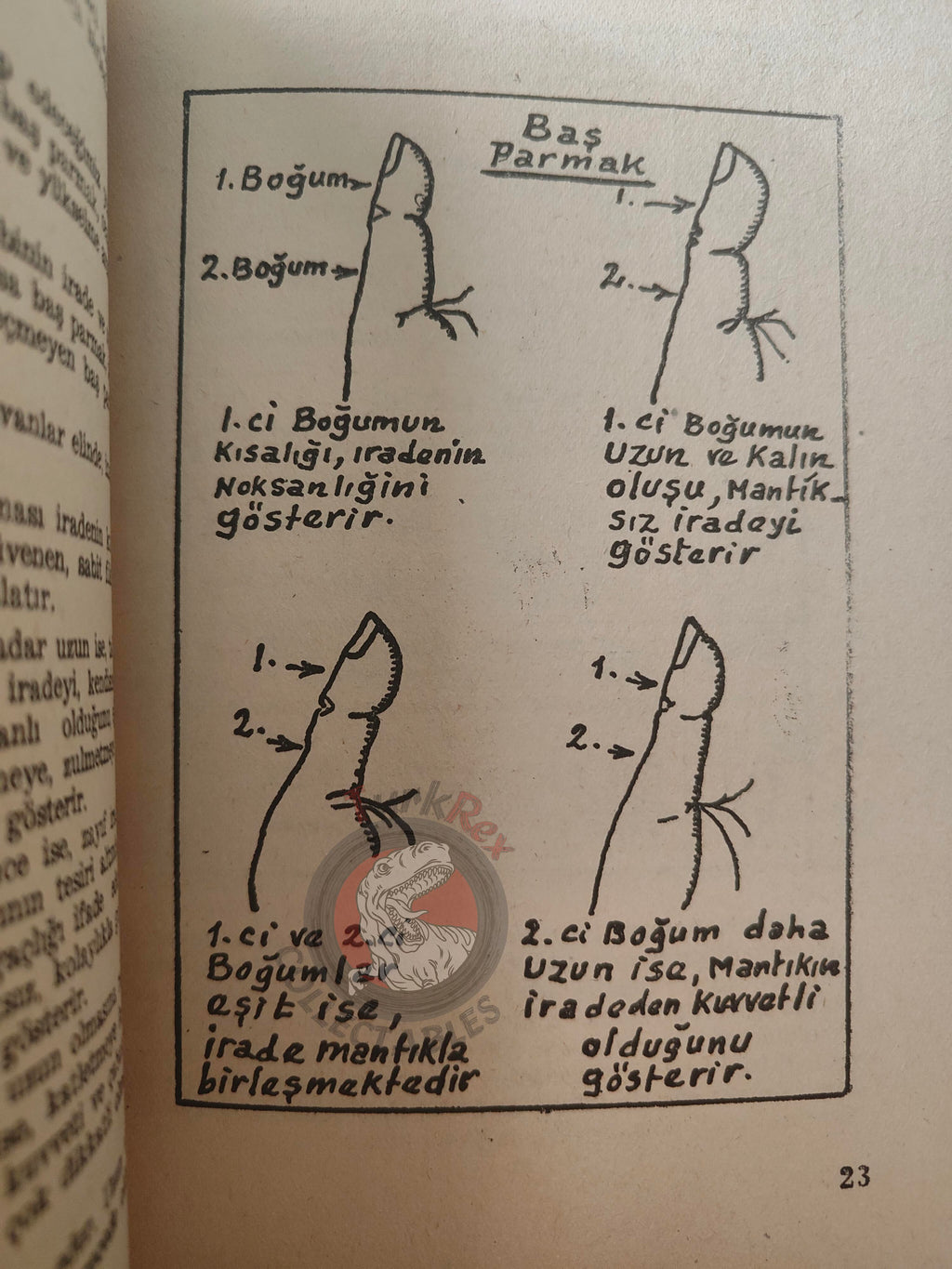 Palm Reading Palmistry Hand Reading 1961 Turkish Book Turkey