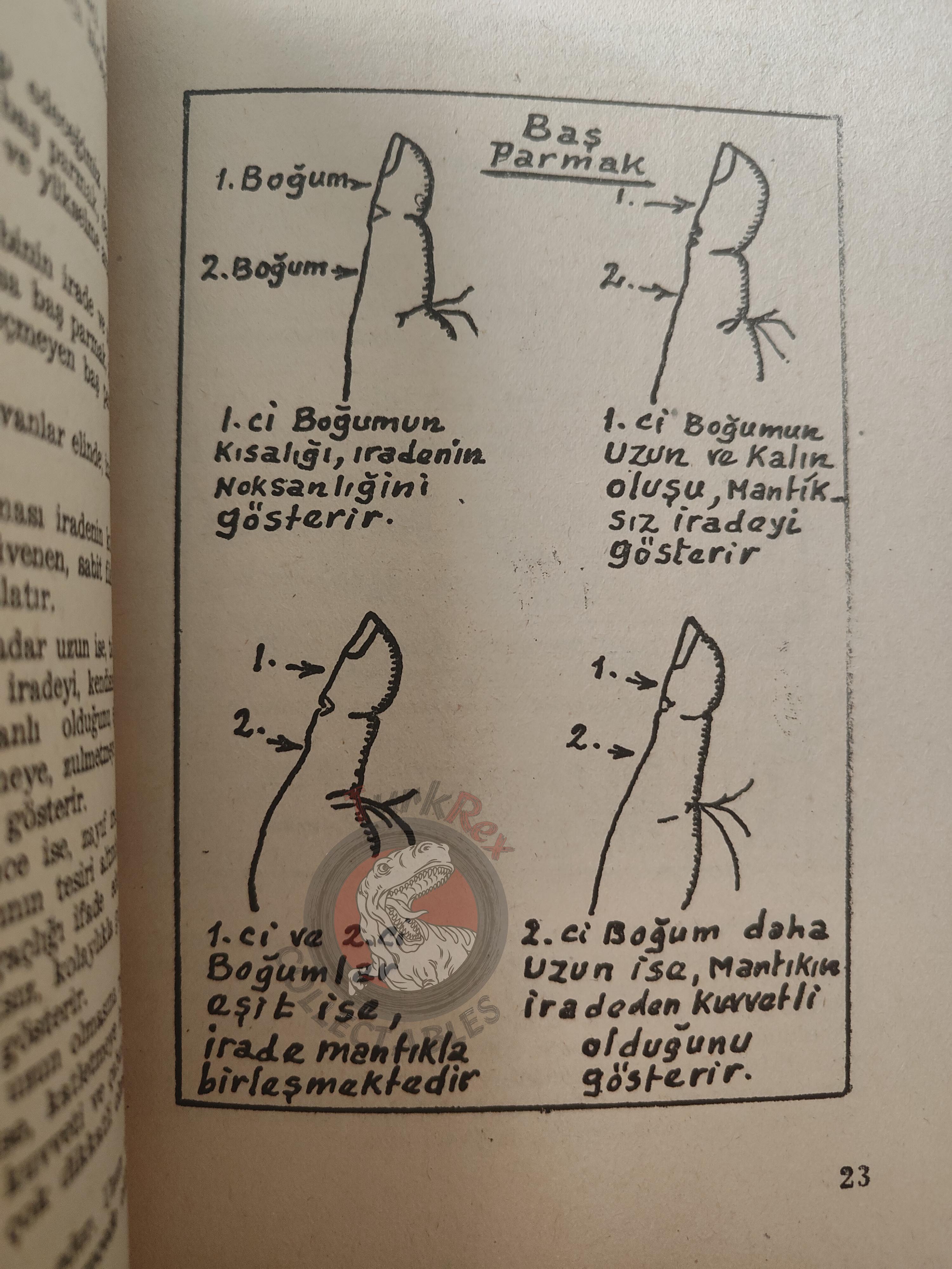 Palm Reading Palmistry Hand Reading 1961 Turkish Book Turkey