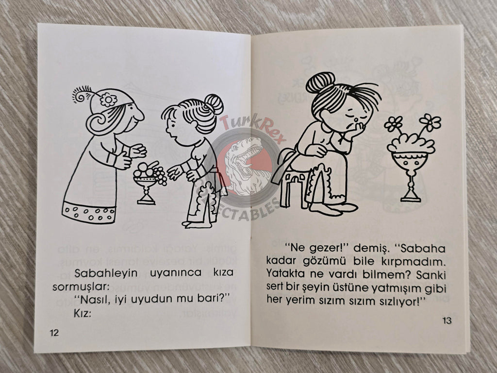 Hans Christian Andersen –  The Real Princess  1994 Turkish Book Turkey Illustrated