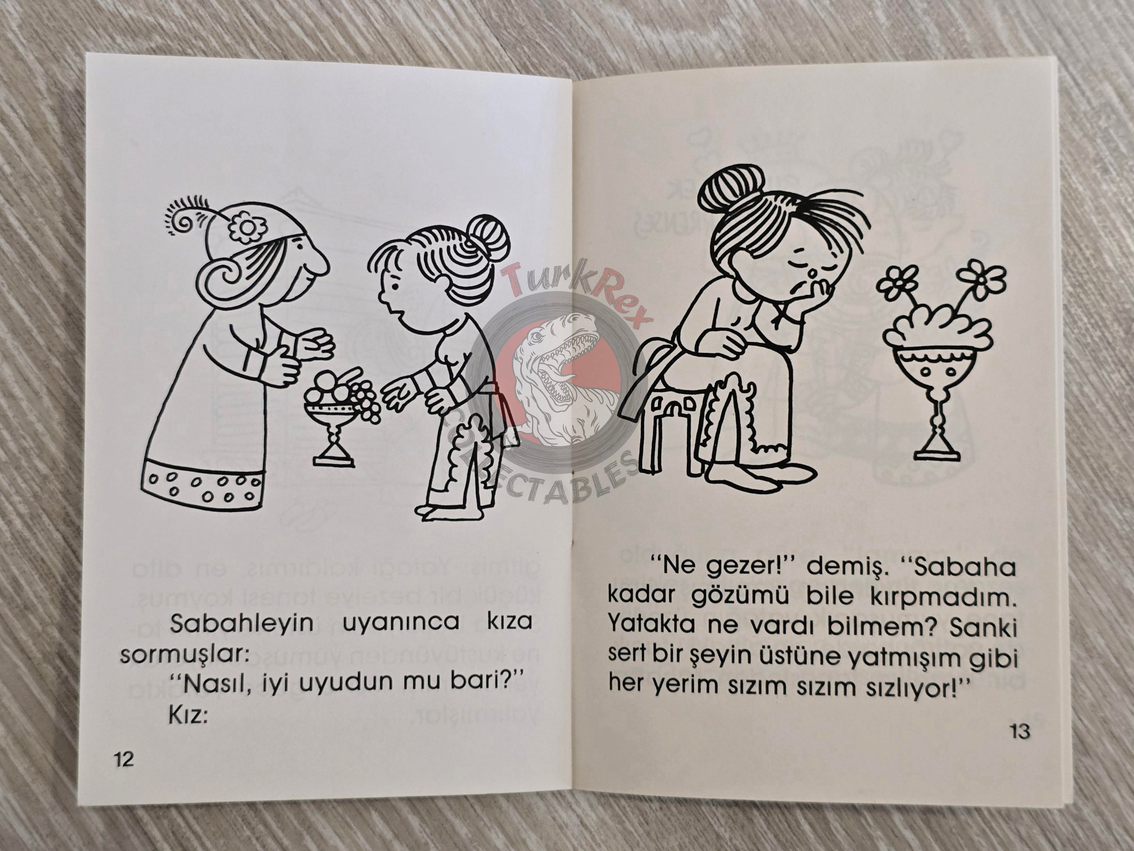 Hans Christian Andersen –  The Real Princess  1994 Turkish Book Turkey Illustrated