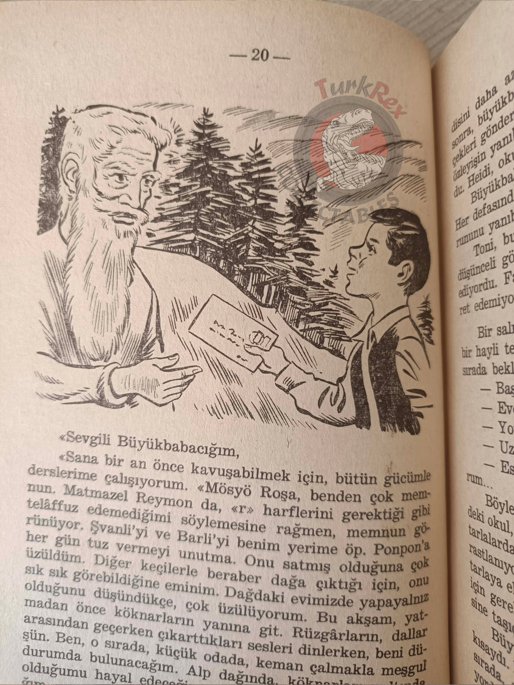 Johanna Spyri – Heidi Grows Up 1969 Turkish Book Turkey Illustrated