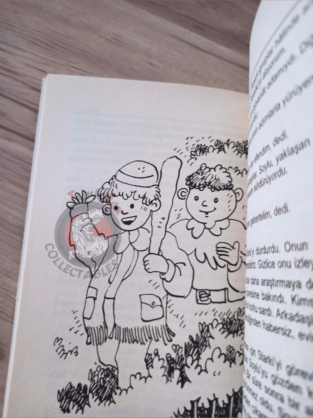 J. M. Barrie – Peter Pan 2011 Turkish Book Turkey Illustrated 2