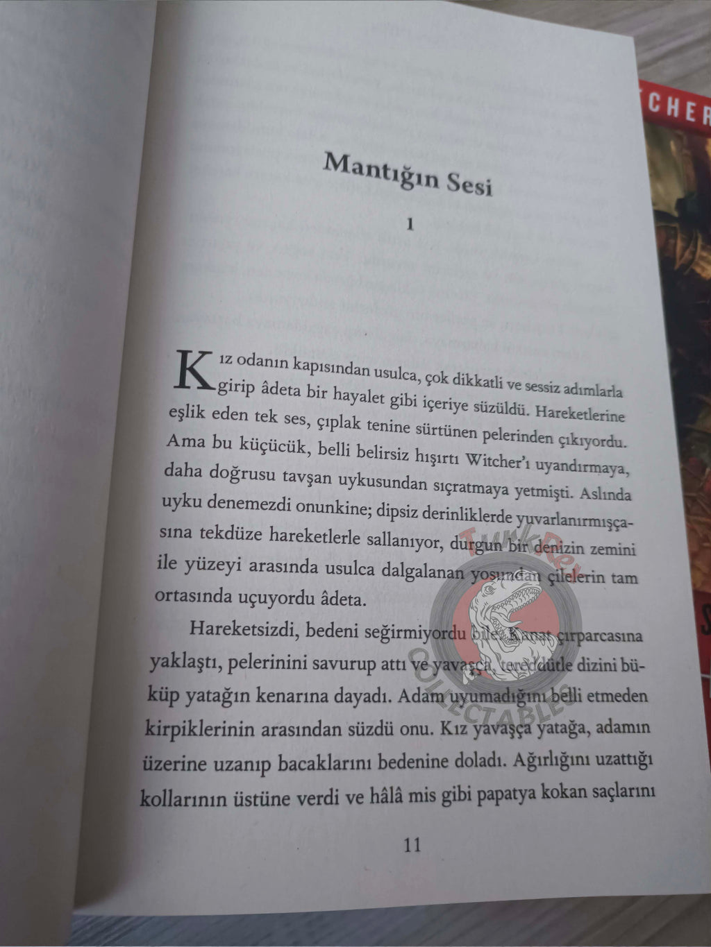 Andrzej Sapkowski  – The Witcher Series Turkish Book Turkey