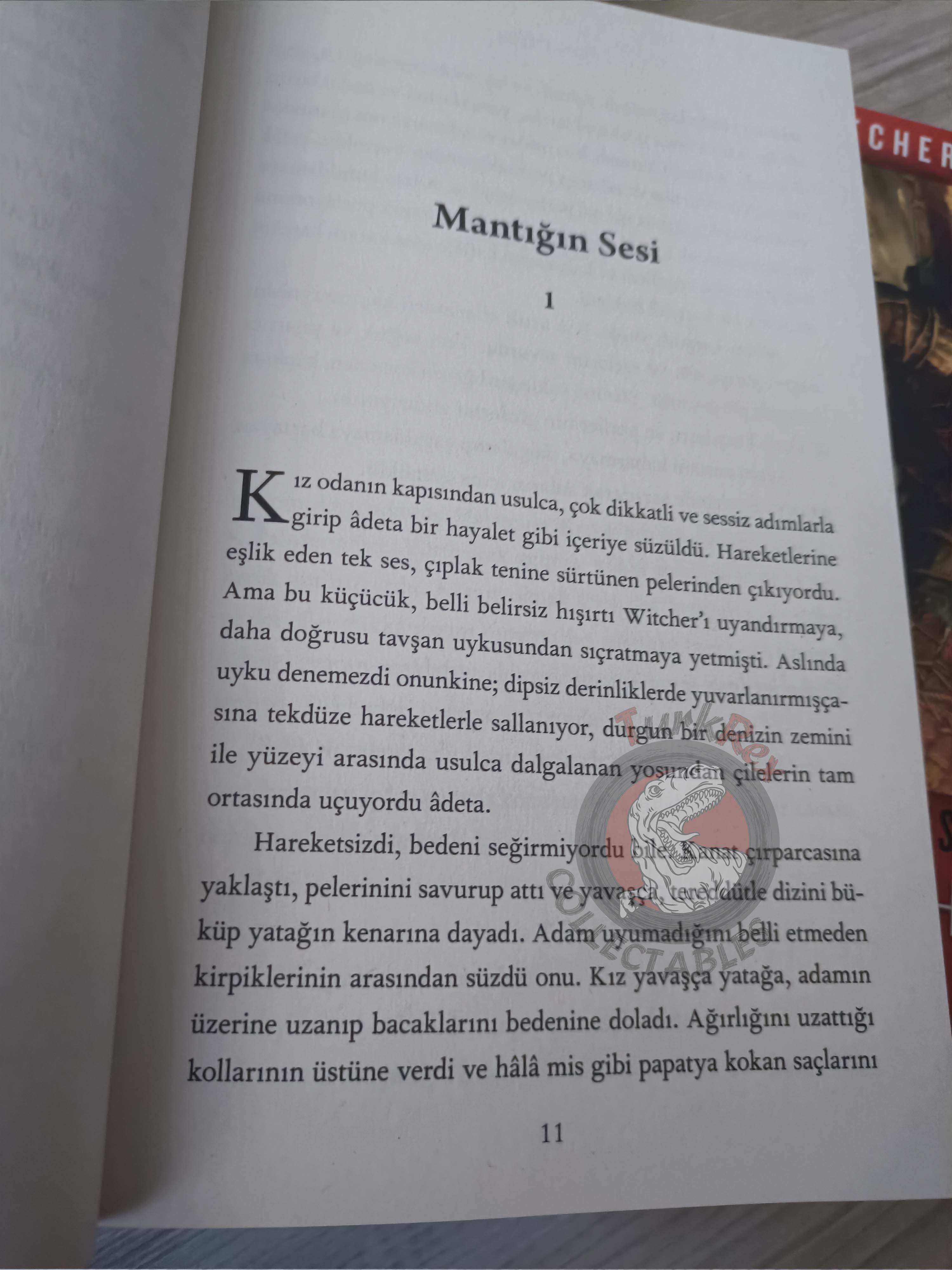 Andrzej Sapkowski  – The Witcher Series Turkish Book Turkey