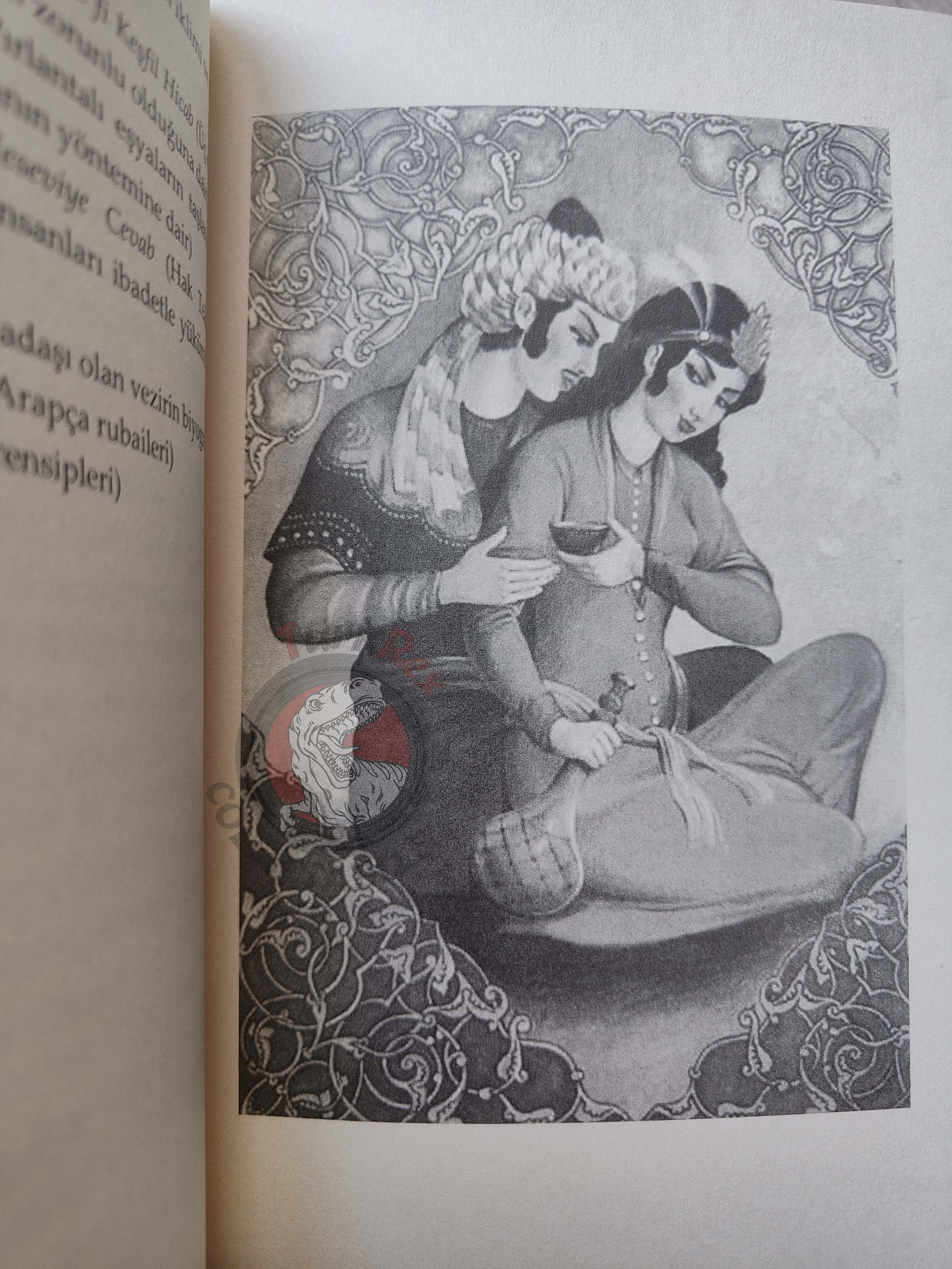 Rubaiyat of Omar Khayyam 2013 Illustrated Turkish Book Turkey