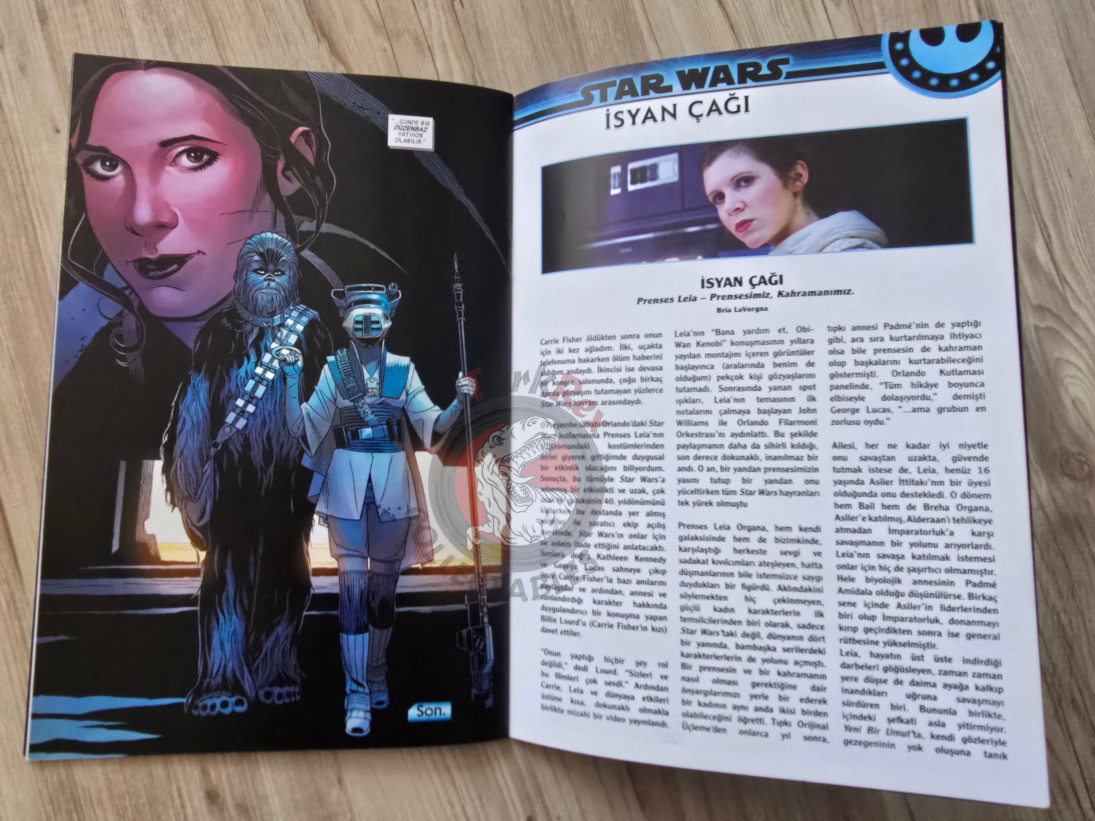 Star Wars - Age of Rebellion: Princess Leia #1 Turkish Comic Turkey