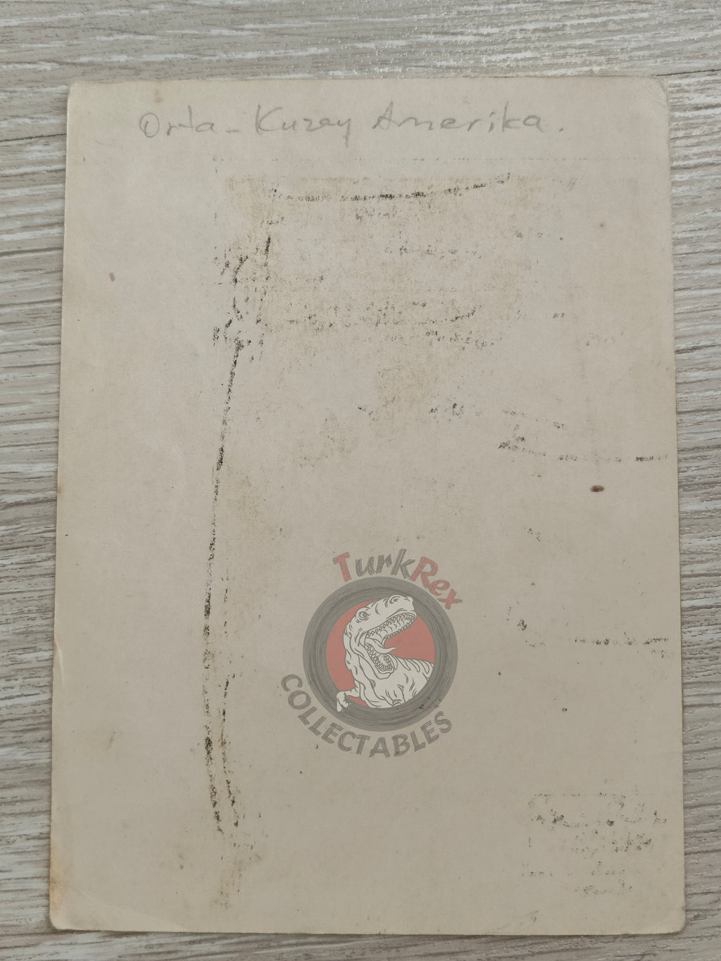 Pacific Ocean with transportation lines America 1907 Ottoman Script Map by Mehmed Eşref