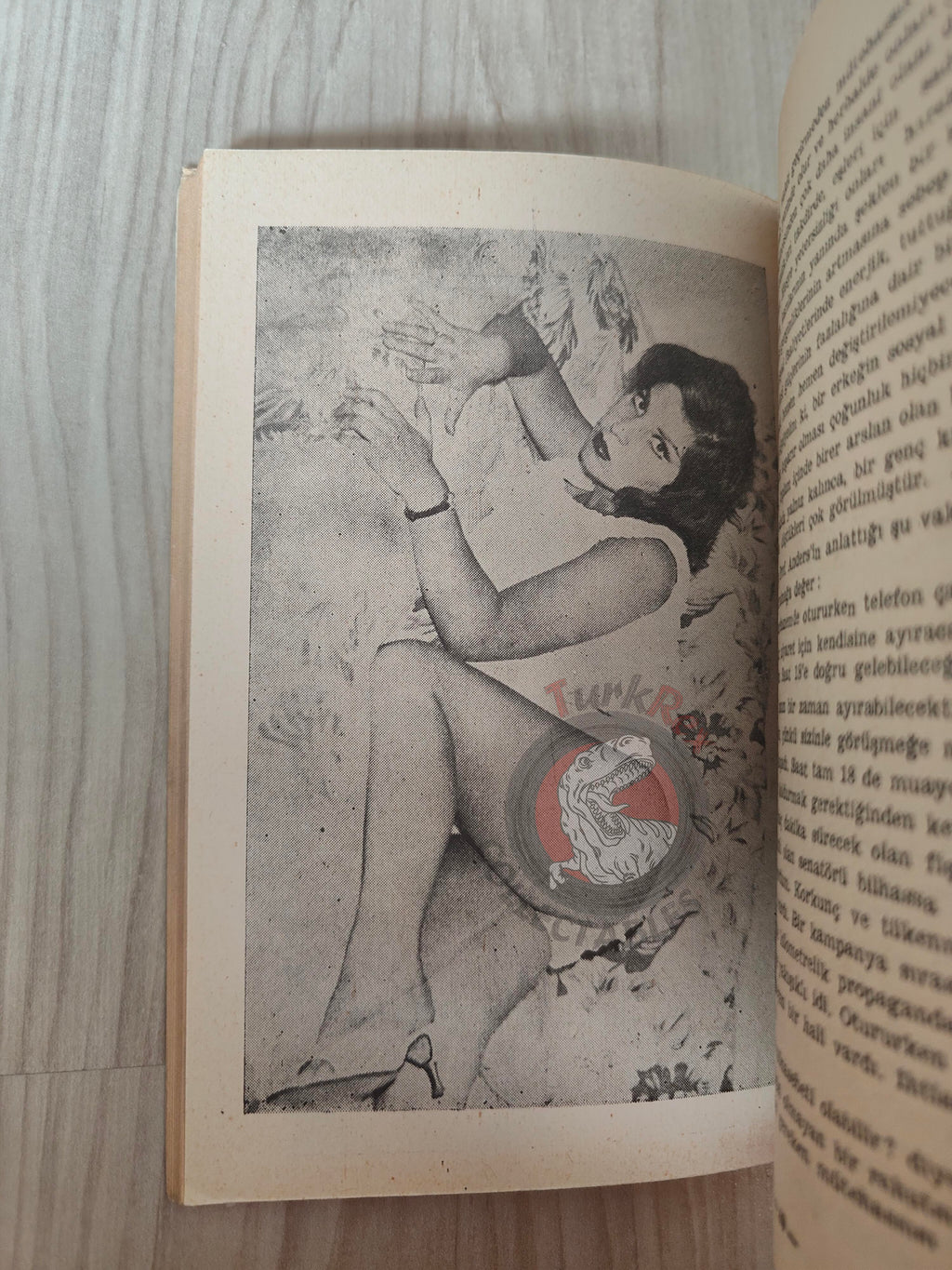 William S. Fielding – Sex in 12 Lessons 1960s Turkish Book Turkey Sexology