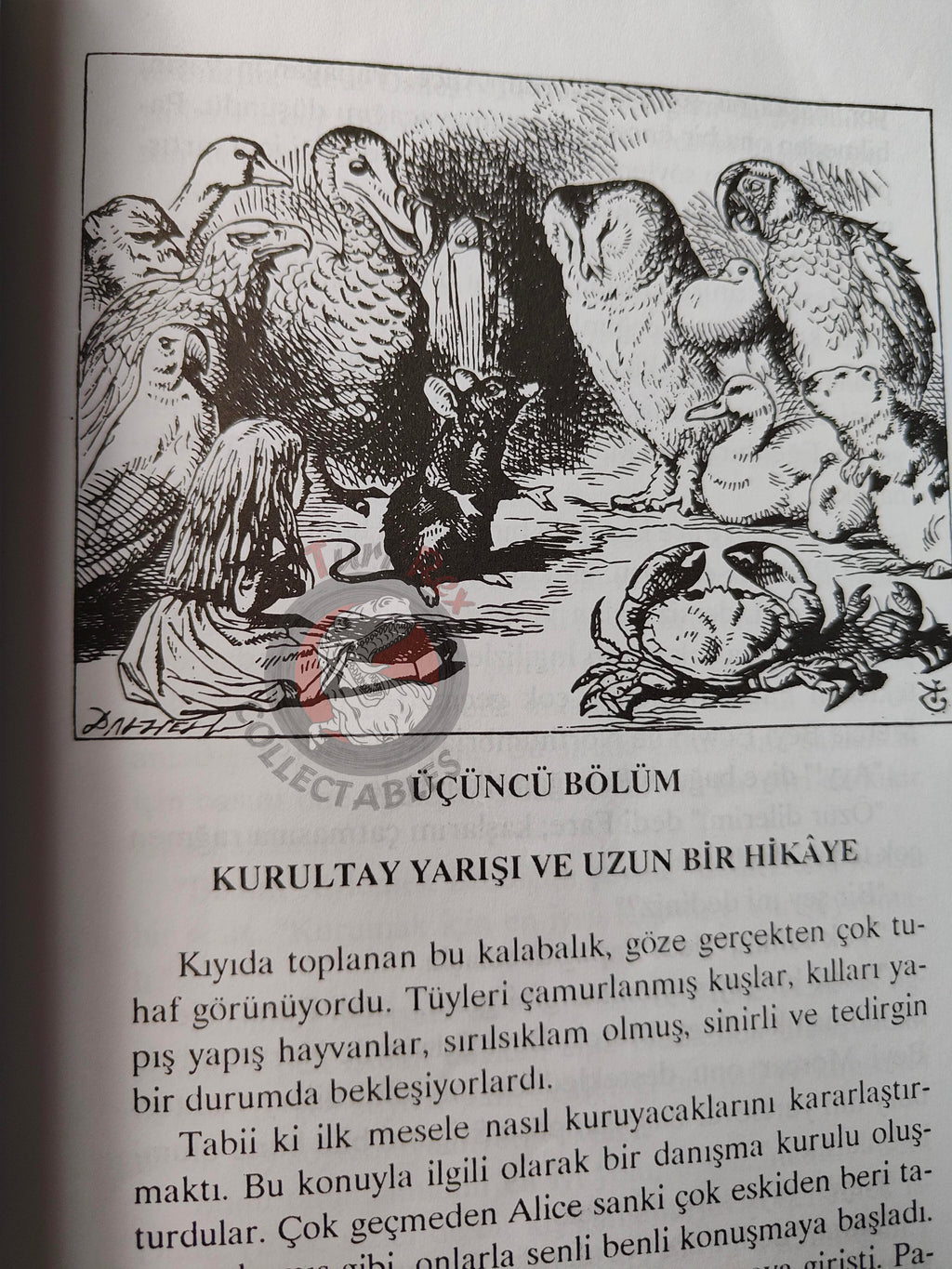 Lewis Carroll – Alice in Wonderland 2000 Turkish Book Turkey Illustrated John Tenniel