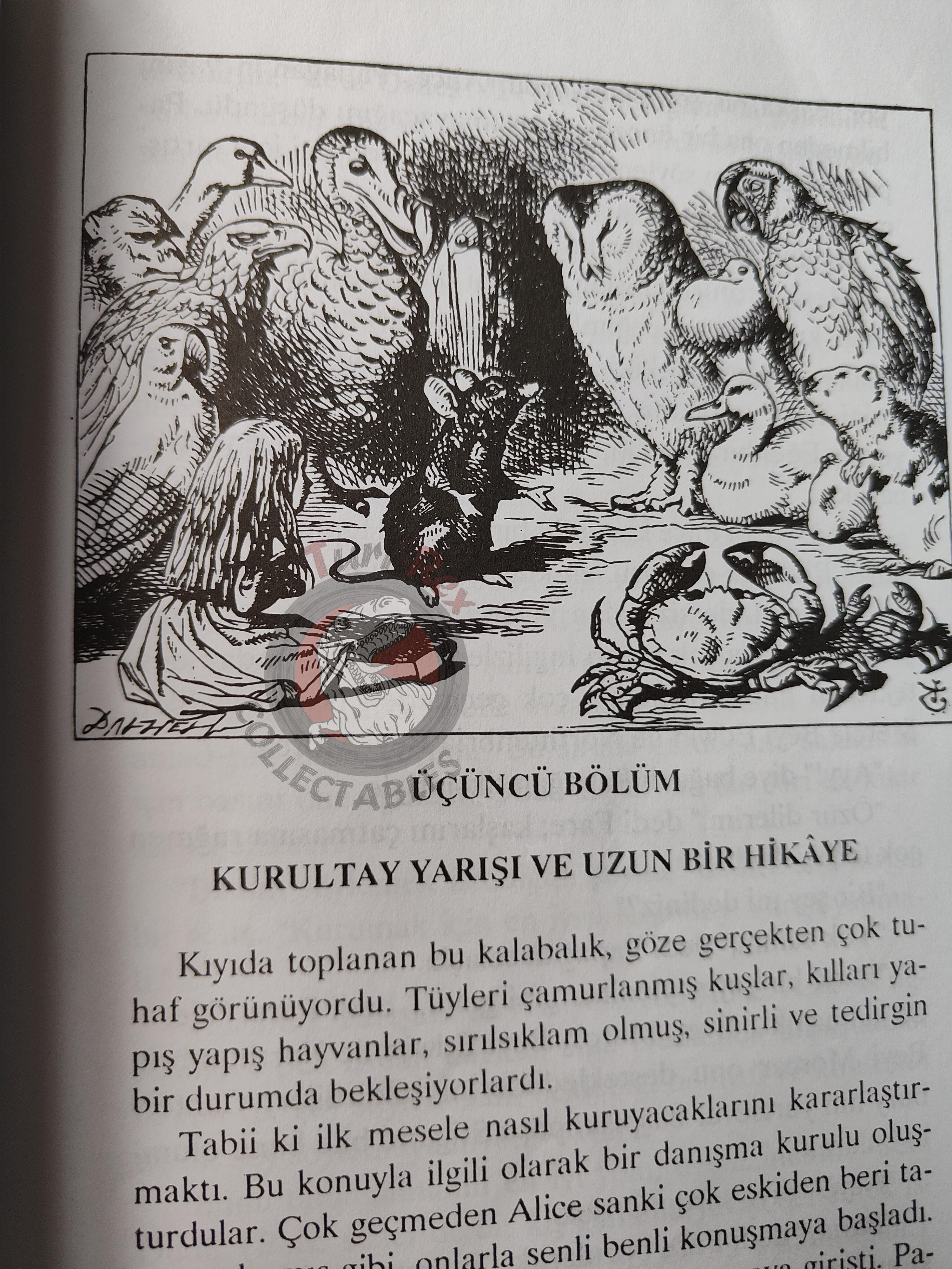 Lewis Carroll – Alice in Wonderland 2000 Turkish Book Turkey Illustrated John Tenniel