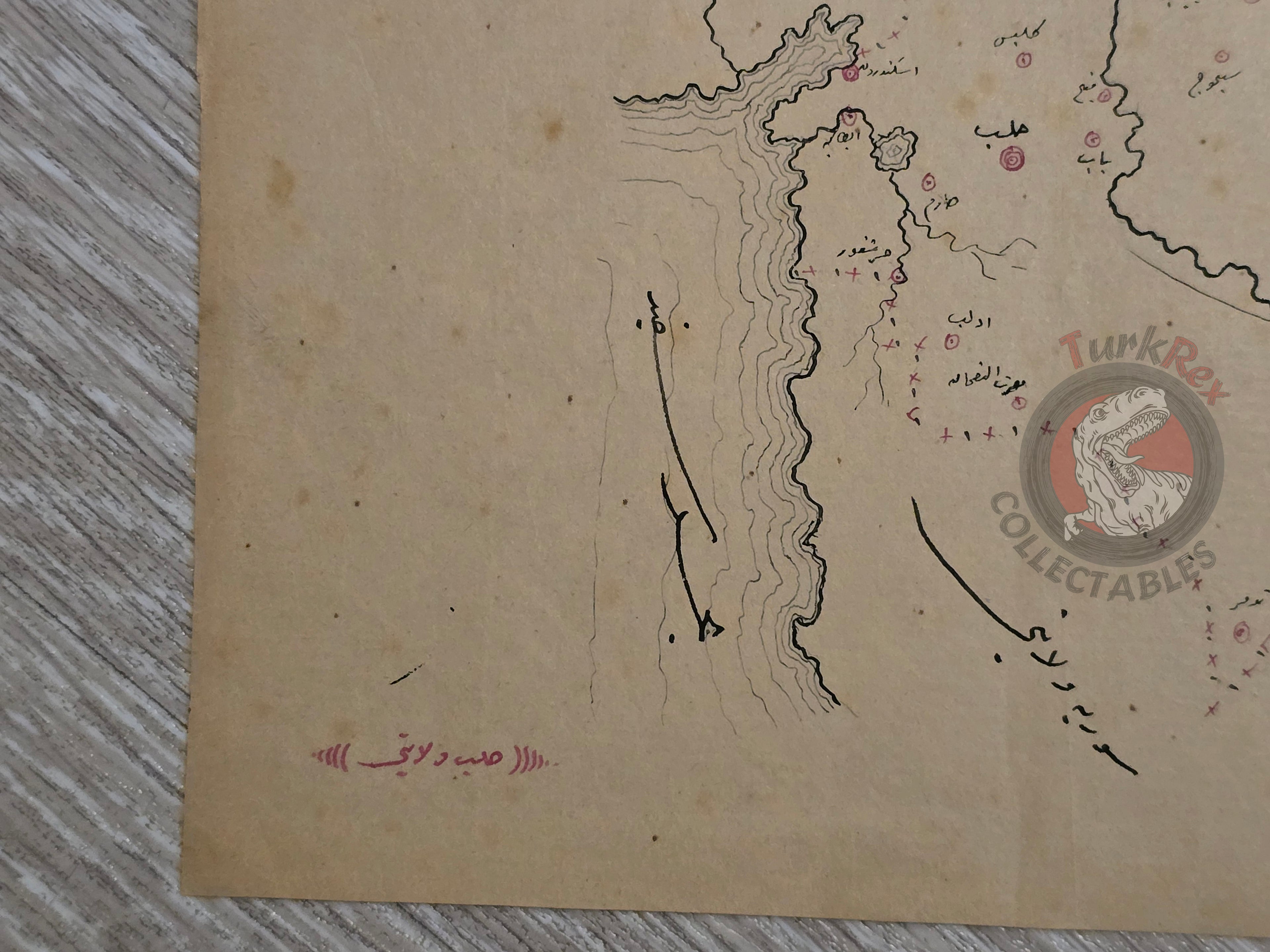 Ottoman Empire Hand-Drawn Map Aleppo Vilayet 1890s Manuscript Middle East Syria