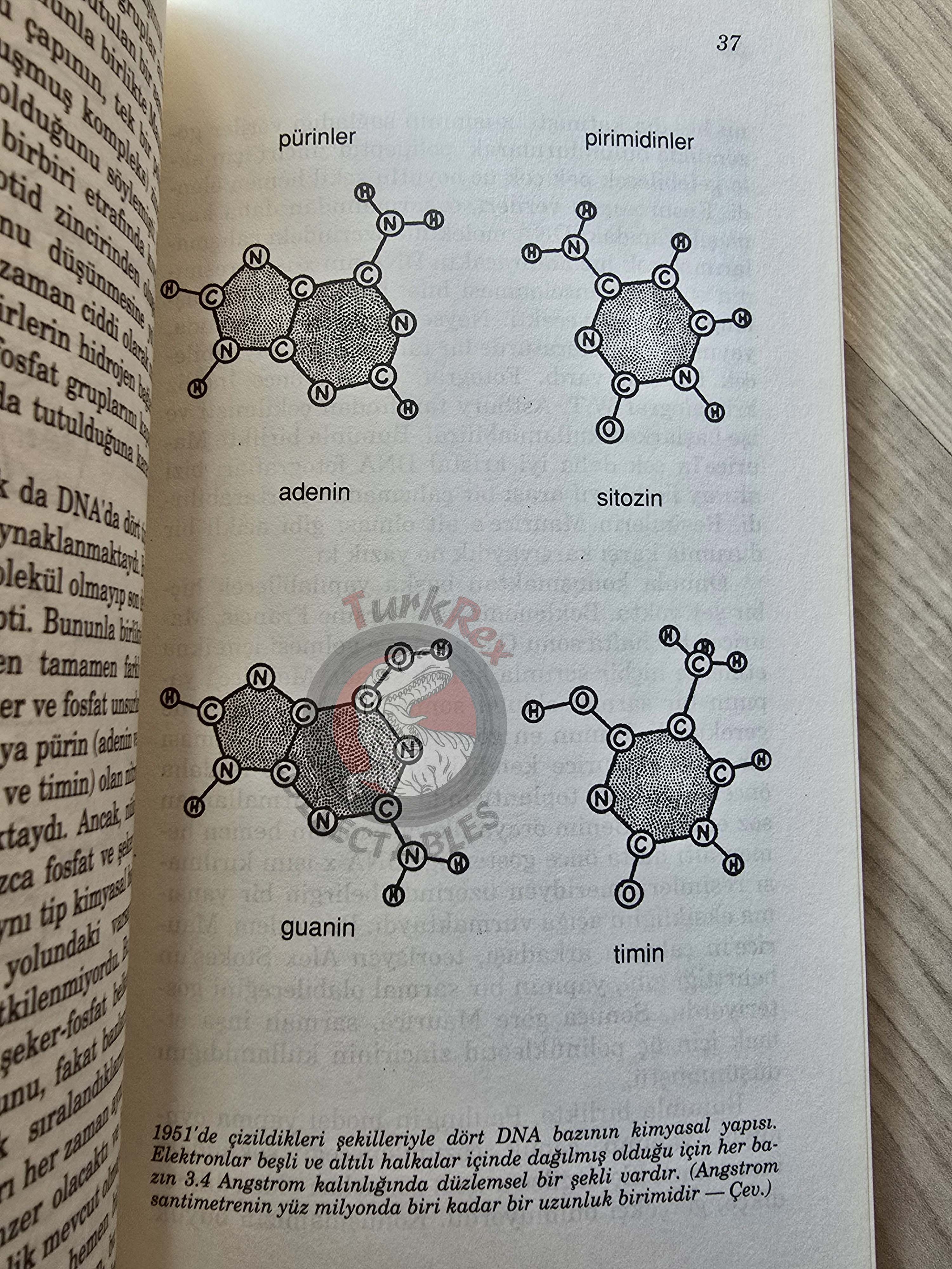 James D. Watson – The Double Helix 1996 Turkish Book Turkey