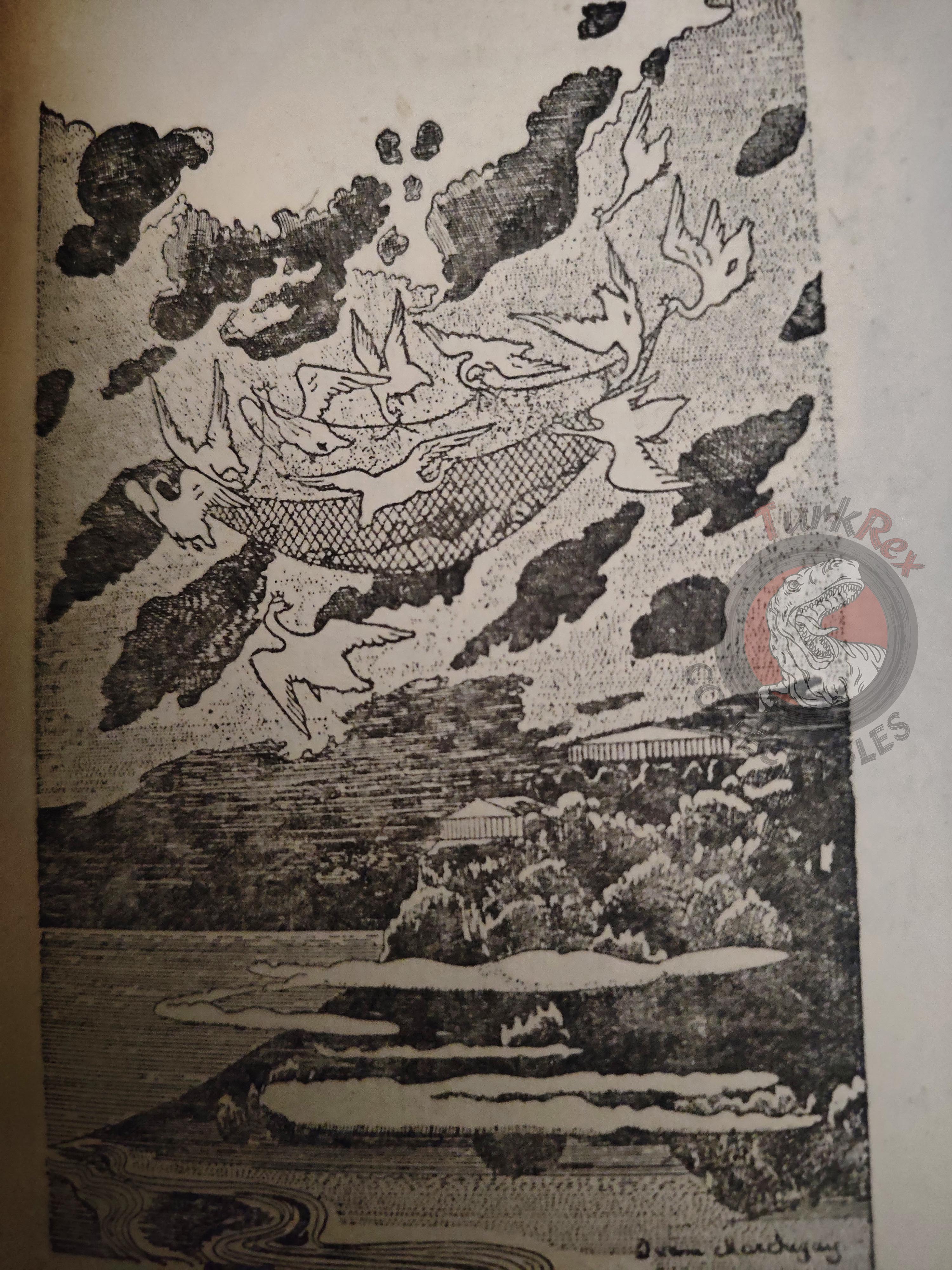 Hans Christian Andersen – Andersen's Fairy Tales 1957 Turkish Book Turkey Illustrated