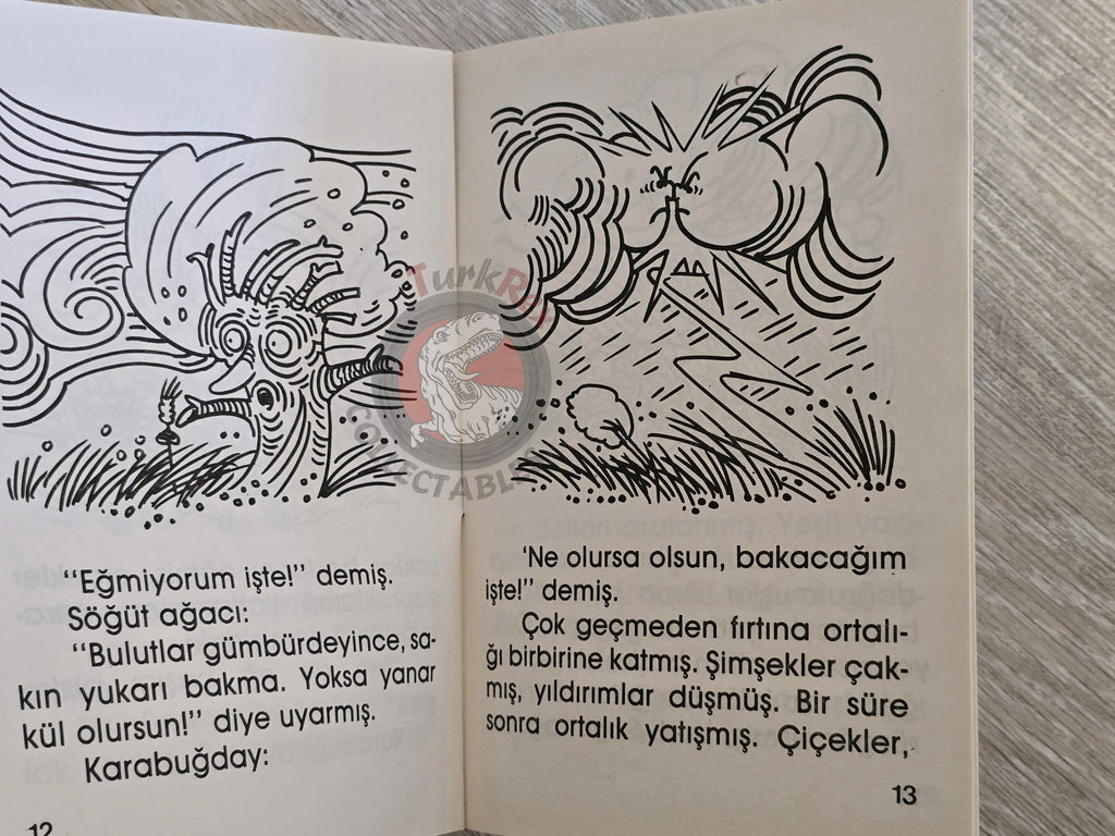 Hans Christian Andersen – The Buckwheat 1994 Turkish Book Turkey Illustrated