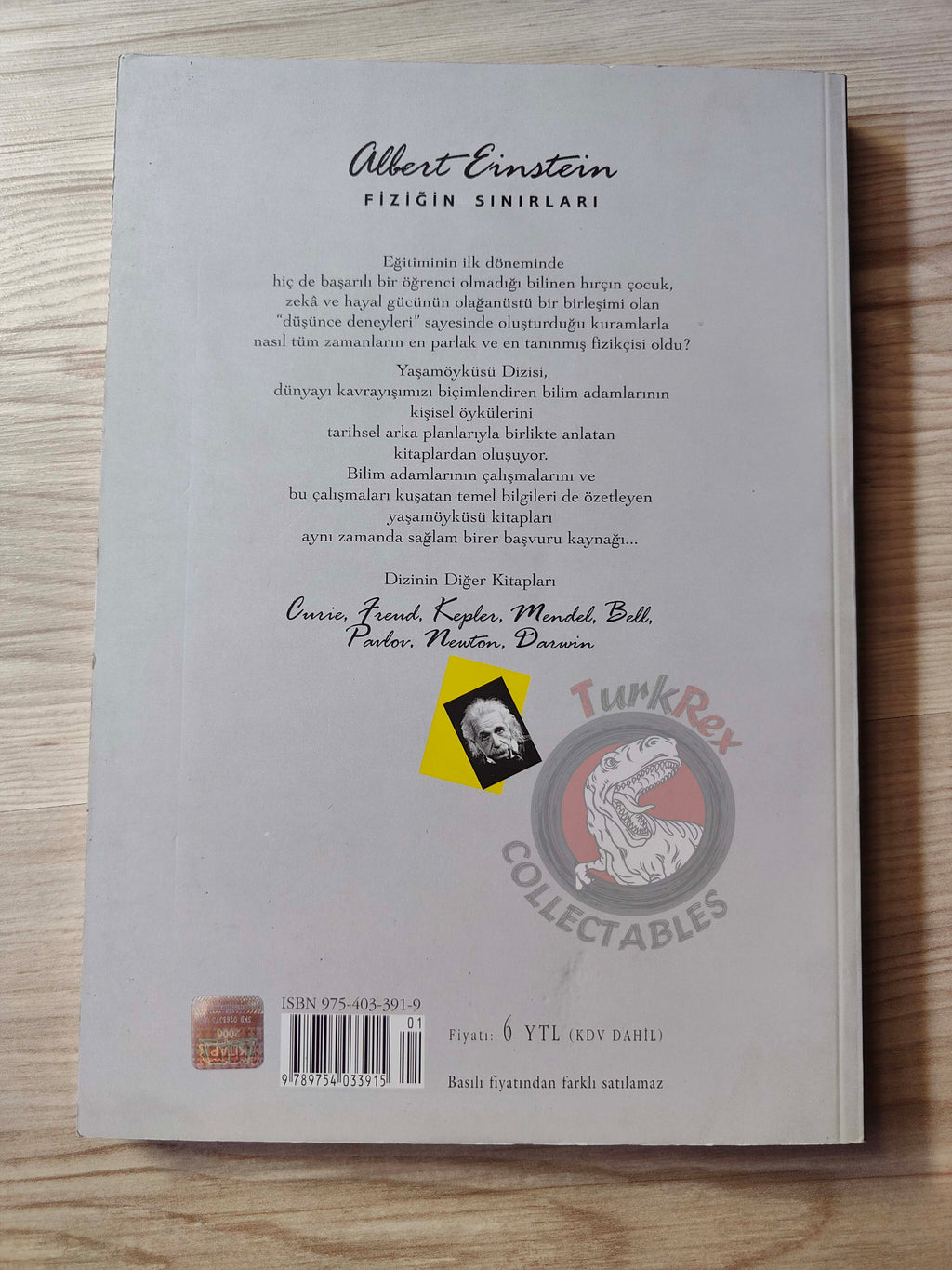 Jeremy Bernstein – Albert Einstein 2006 Turkish Book Turkey