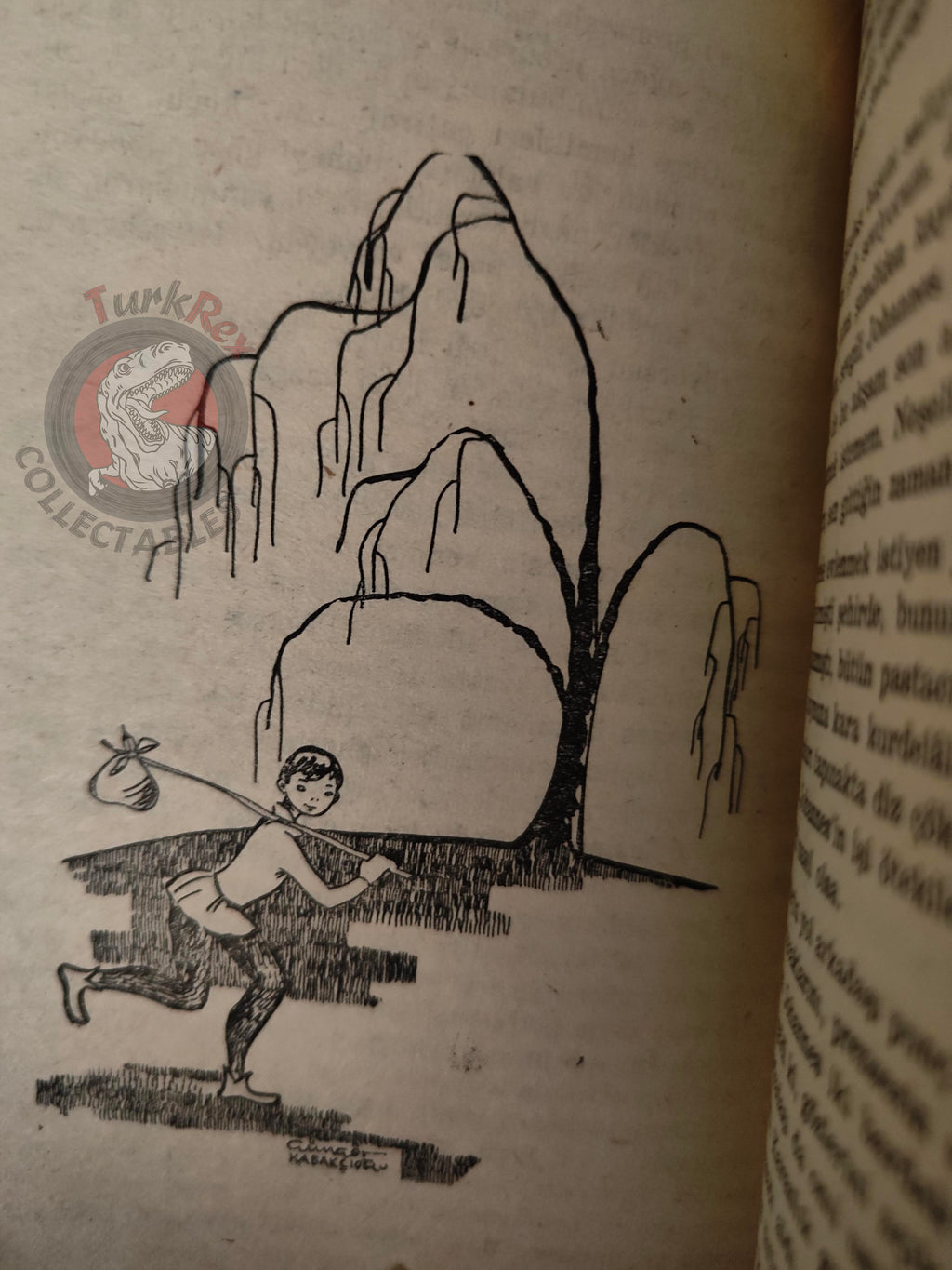 Hans Christian Andersen – The Swineherd 1962 Turkish Book Turkey Illustrated