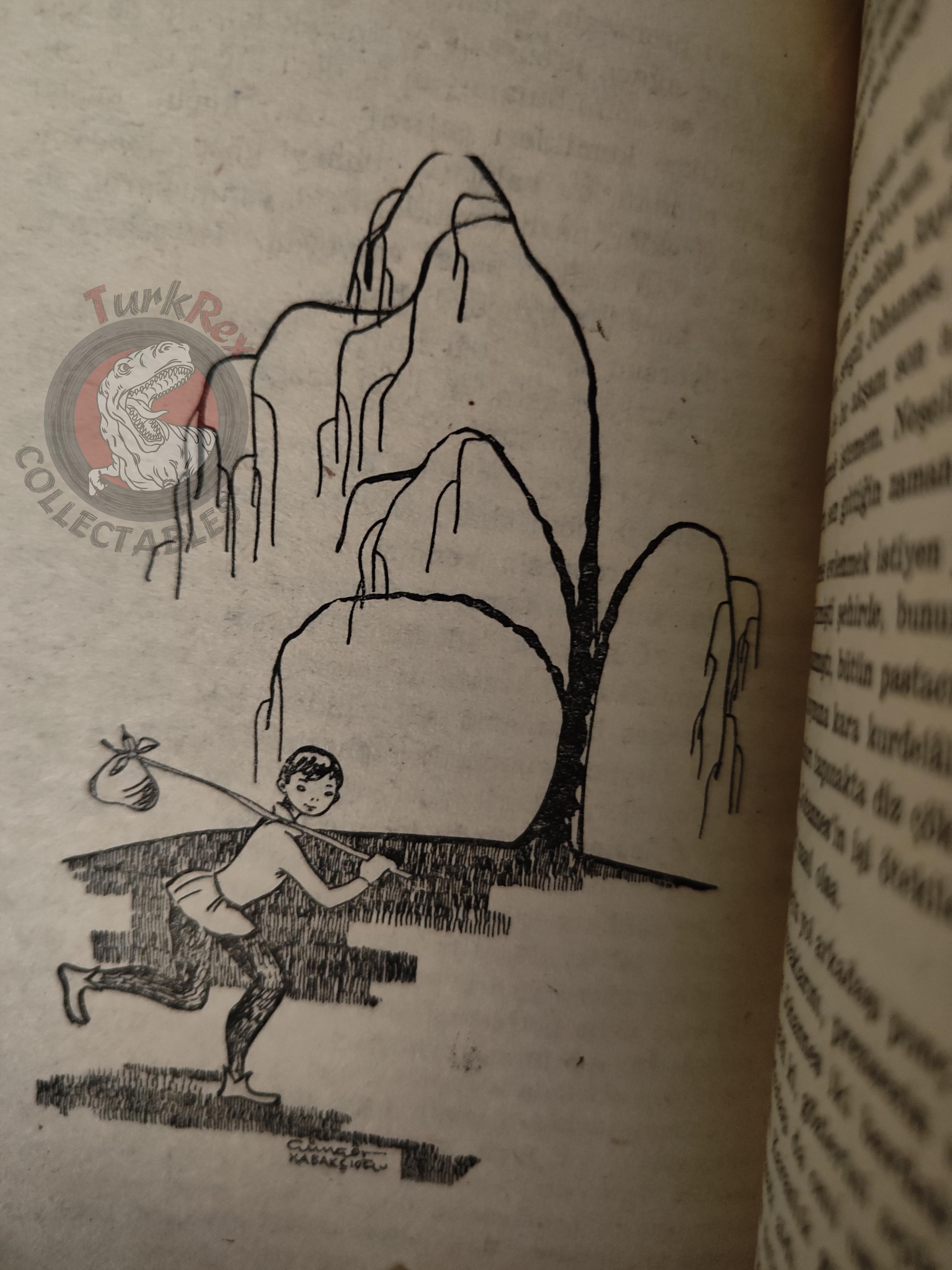Hans Christian Andersen – The Swineherd 1962 Turkish Book Turkey Illustrated