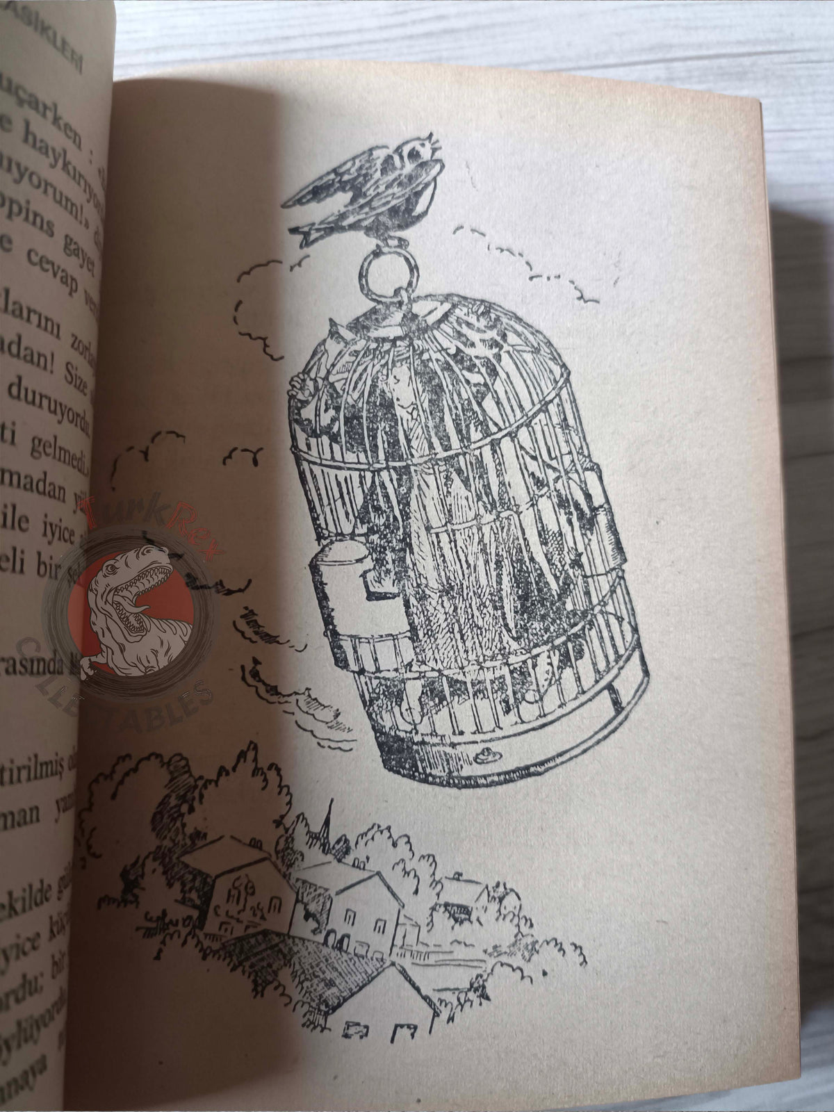 P. L. Travers – Mary Poppins 1975 HC/DJ Turkish Book Turkey Illustrated