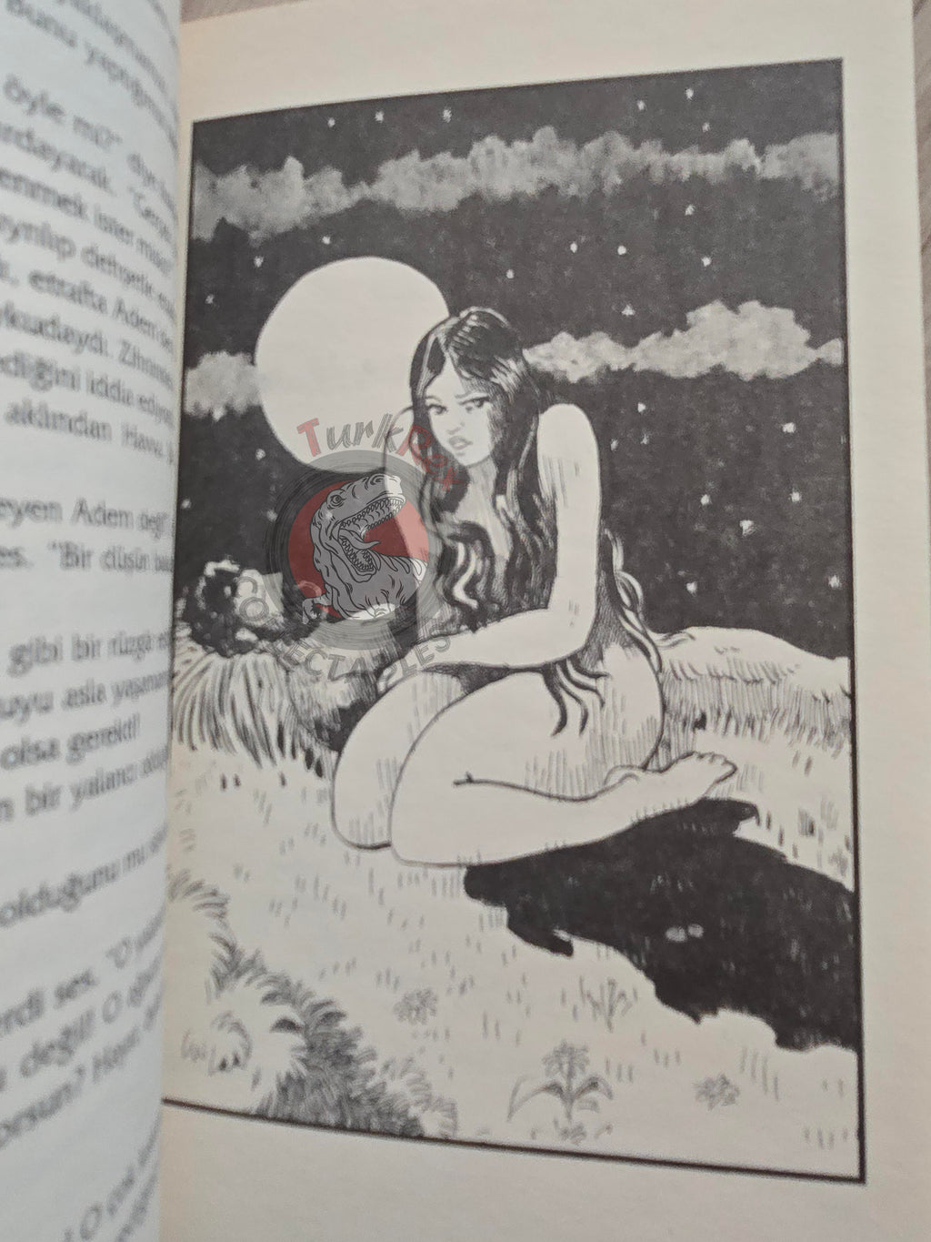 Adam and Eve – Albert Hirsch 2003 Turkish Book Turkey Illustrated by Turkish Artist